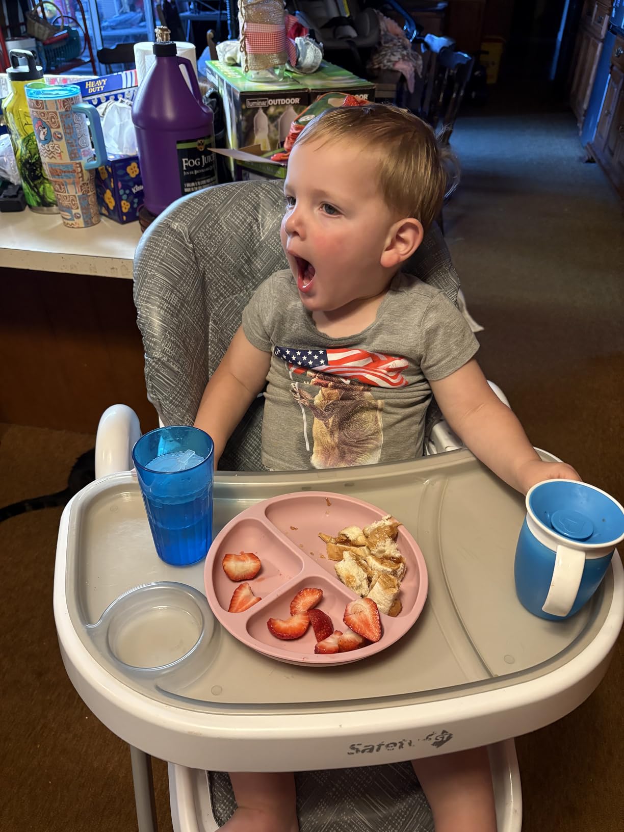 WeeSprout Suction Plates with Lids for Babies & Toddlers - 100% Silicone, Dinnerware Stays Put, Divided Design for Picky Eaters, Microwave & Dishwasher Friendly, 3 Pack customer photo 1