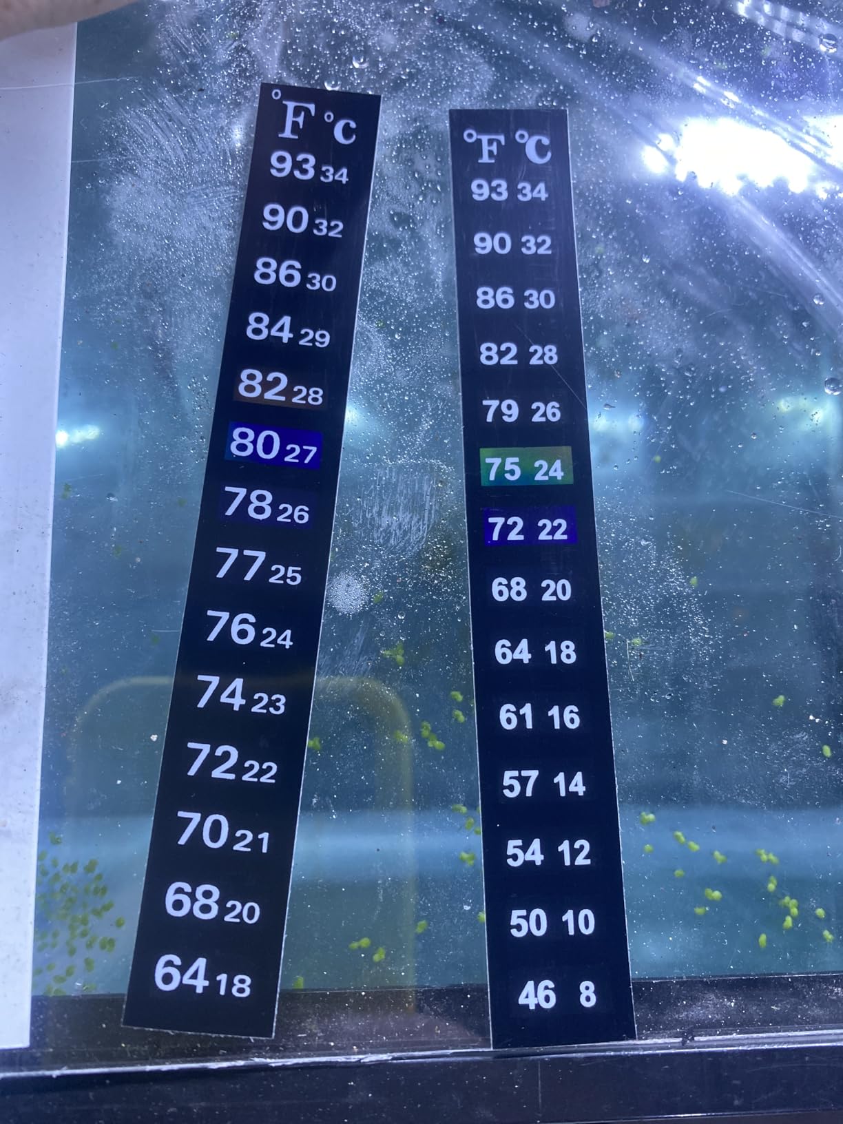 Zonon 24 Pieces Stick on Thermometer Strip for Brewing Fermenting Temperature Sticker Decal Crystal Adhesive 46-93 °f (8-34 °c) Digital Display Sticker for Wine Beer Aquariums customer photo 2