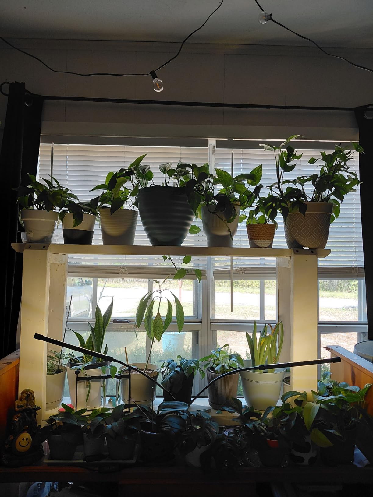 bseah Grow Light Plant Lights for Indoor Plants, Full Spectrum Plant Grow Lamp, 10 Dimmable Levels, Auto ON & Off with 3/9/12H Timer customer photo 2