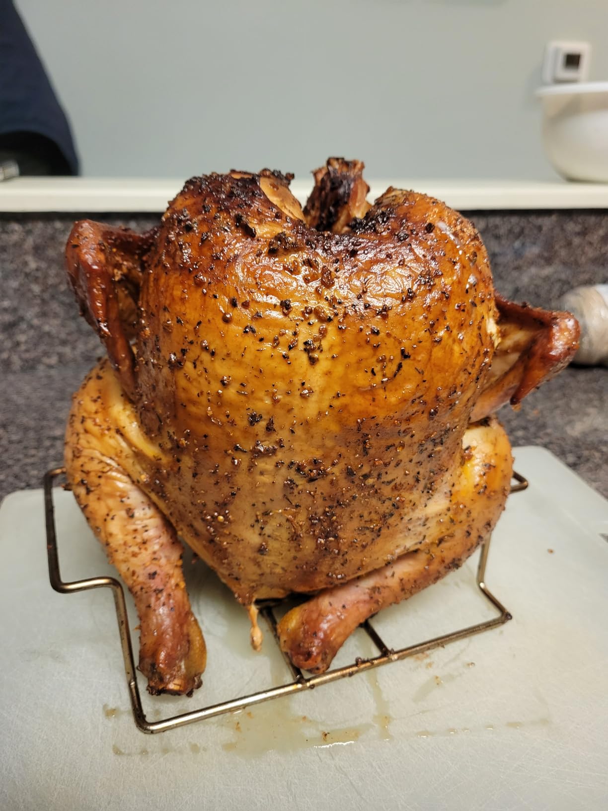 Beer Can Chicken Holder for Grill and Smoker, Premium Grade Stainless Steel Beer Chicken Stand with Handle customer photo 1