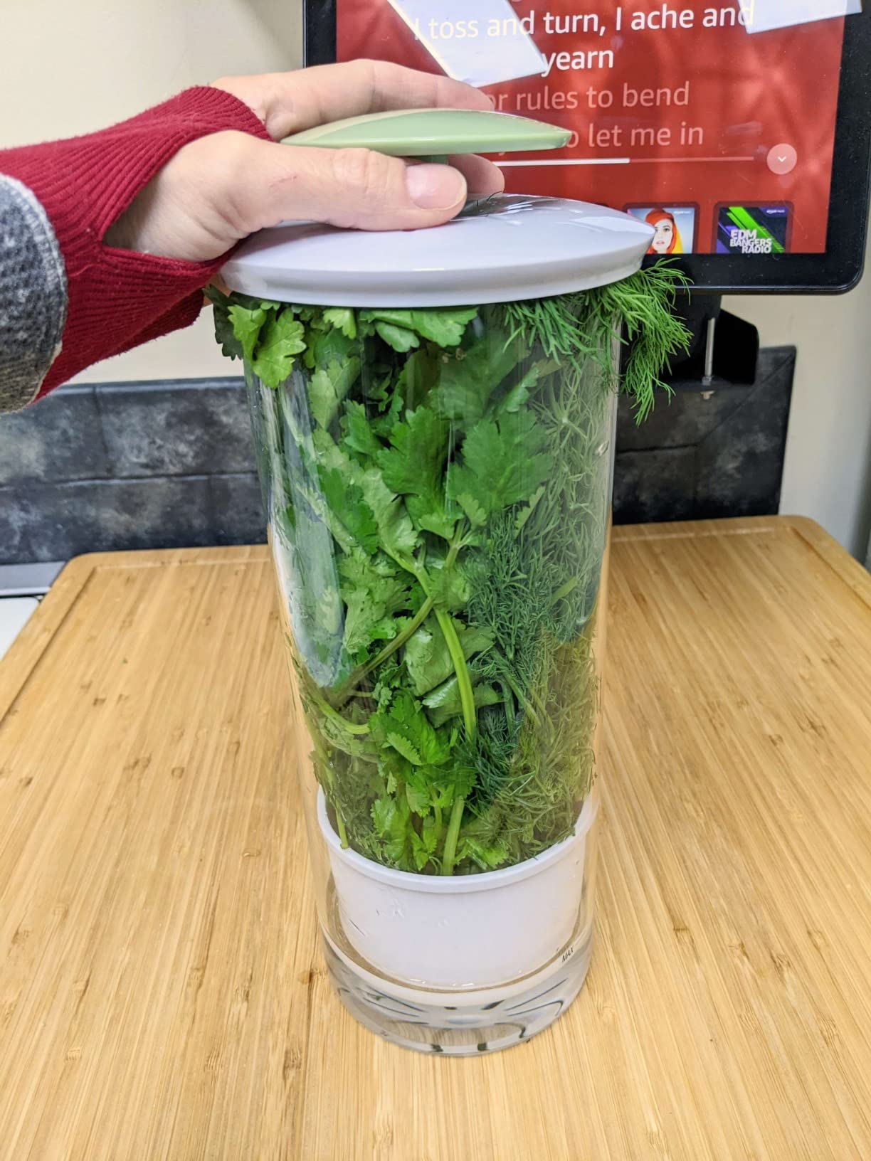 Goodful Herb Keeper Preserver, Designed for Optimum Breathable Airflow for Maximum Freshness, Water Line Ensures the Use of the Right Amount of Water, Stores in your Refrigerator customer photo 1