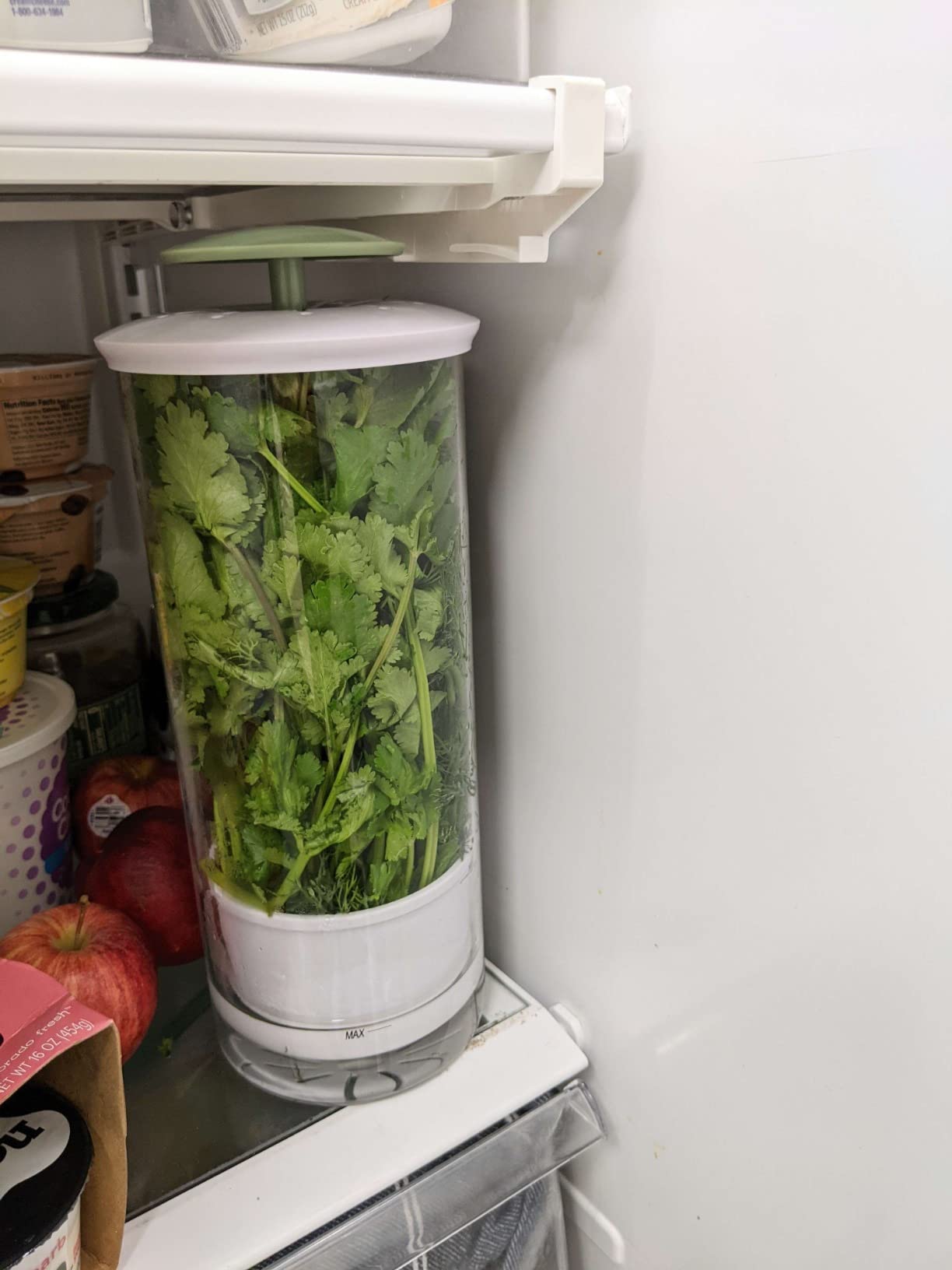 Goodful Herb Keeper Preserver, Designed for Optimum Breathable Airflow for Maximum Freshness, Water Line Ensures the Use of the Right Amount of Water, Stores in your Refrigerator customer photo 2