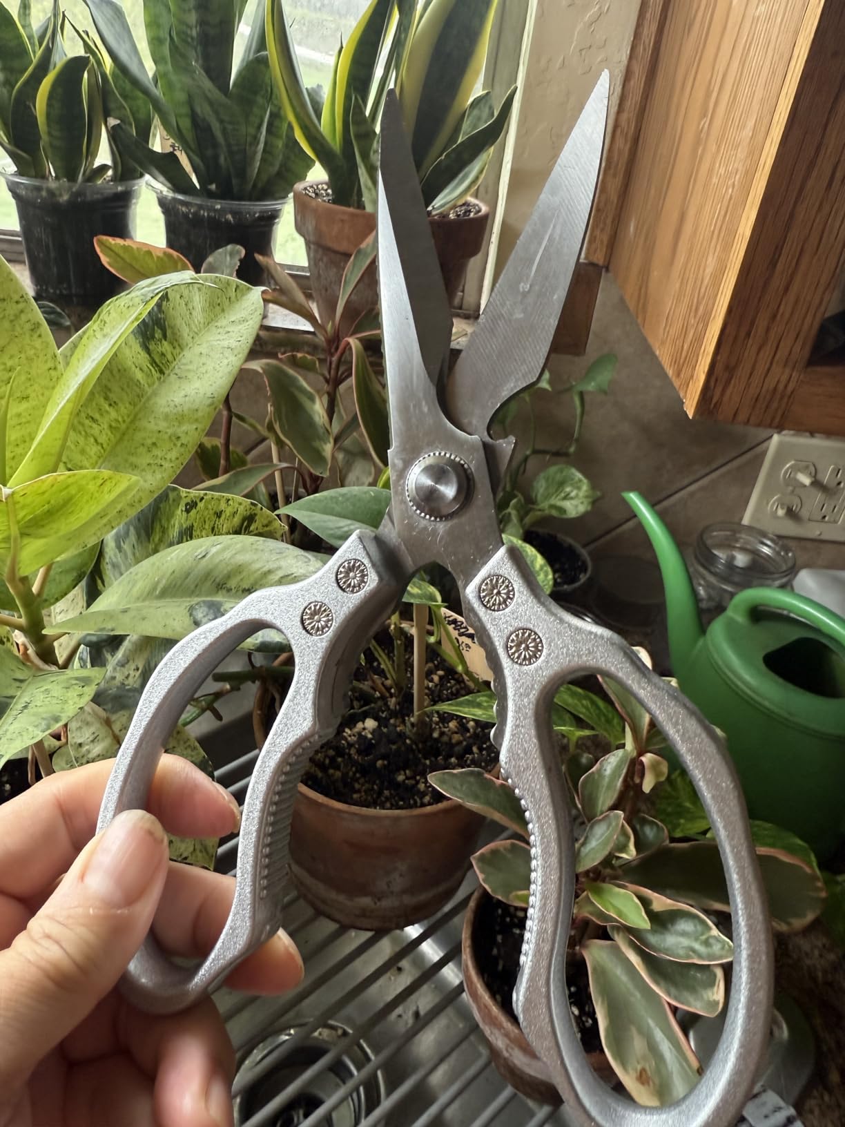 CGBE Kitchen Scissors, Multi-Purpose Kitchen Shears, Heavy Duty Dishwasher Safe Food Scissors for Chicken, Poultry, Fish, Meat & Herbs with Non-Slip Grips - Sliver customer photo 2
