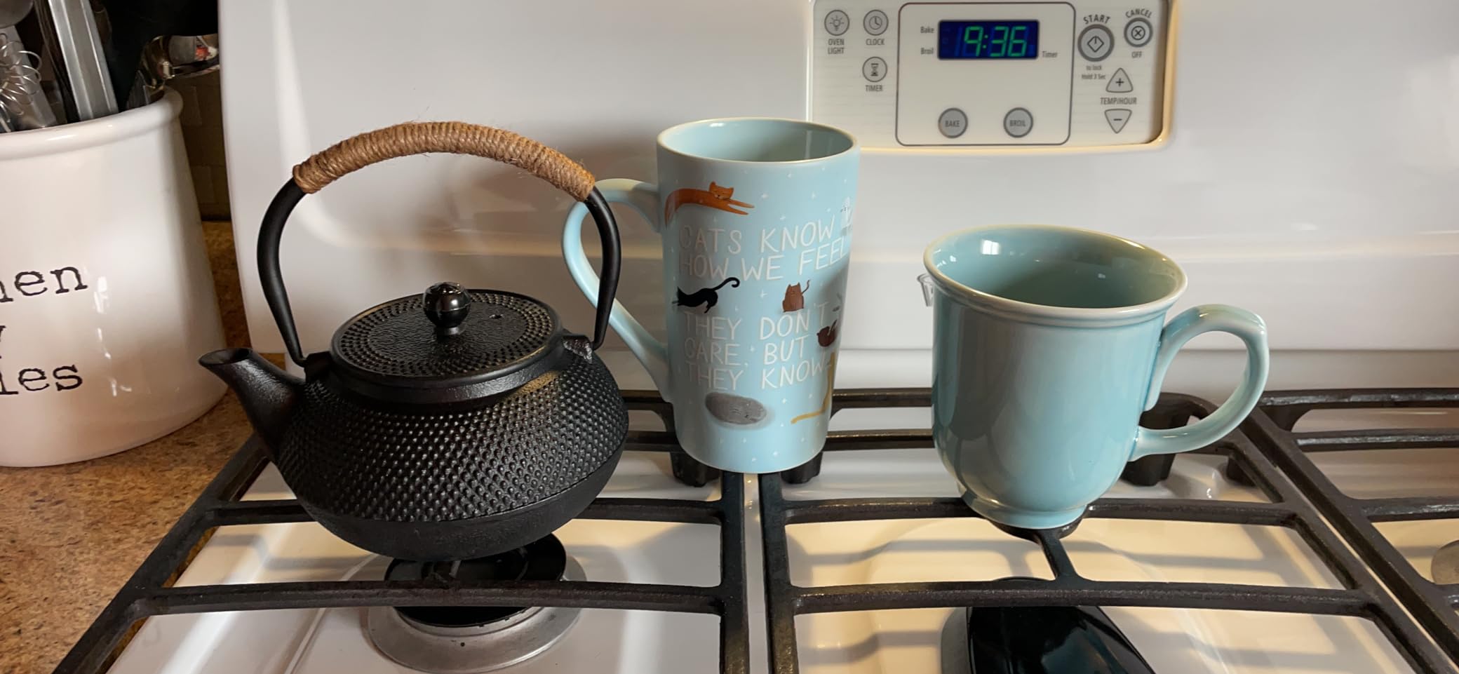 PARACITY Cast Iron Teapot Japanese Tetsubin Coated with Stainless Steel Infuser, Stovetop Tea Kettle for Boiling Hot Water Tea, Mothers Day Gifts from Daughter/Son 23.5 Oz /700 Ml customer photo 2