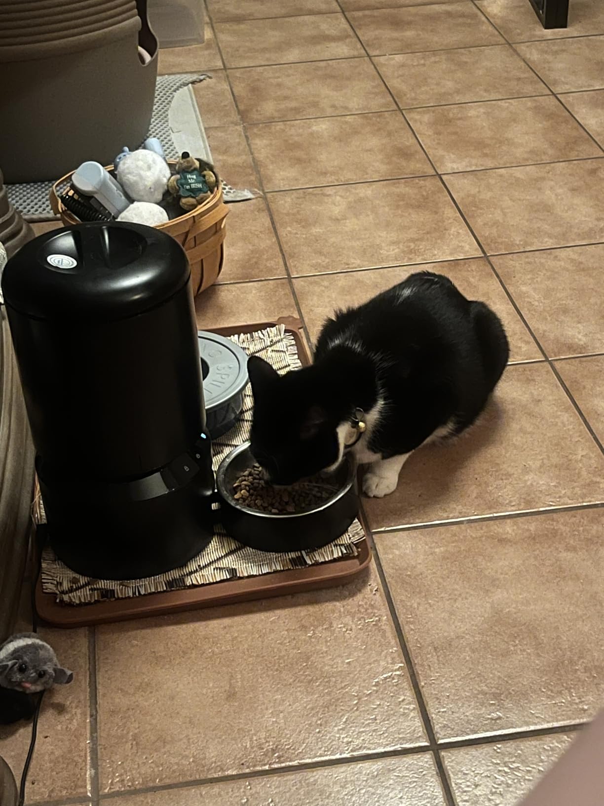 PETLIBRO Automatic Cat Feeder - 3L Programmable Pet Food Dispenser customer photo 2