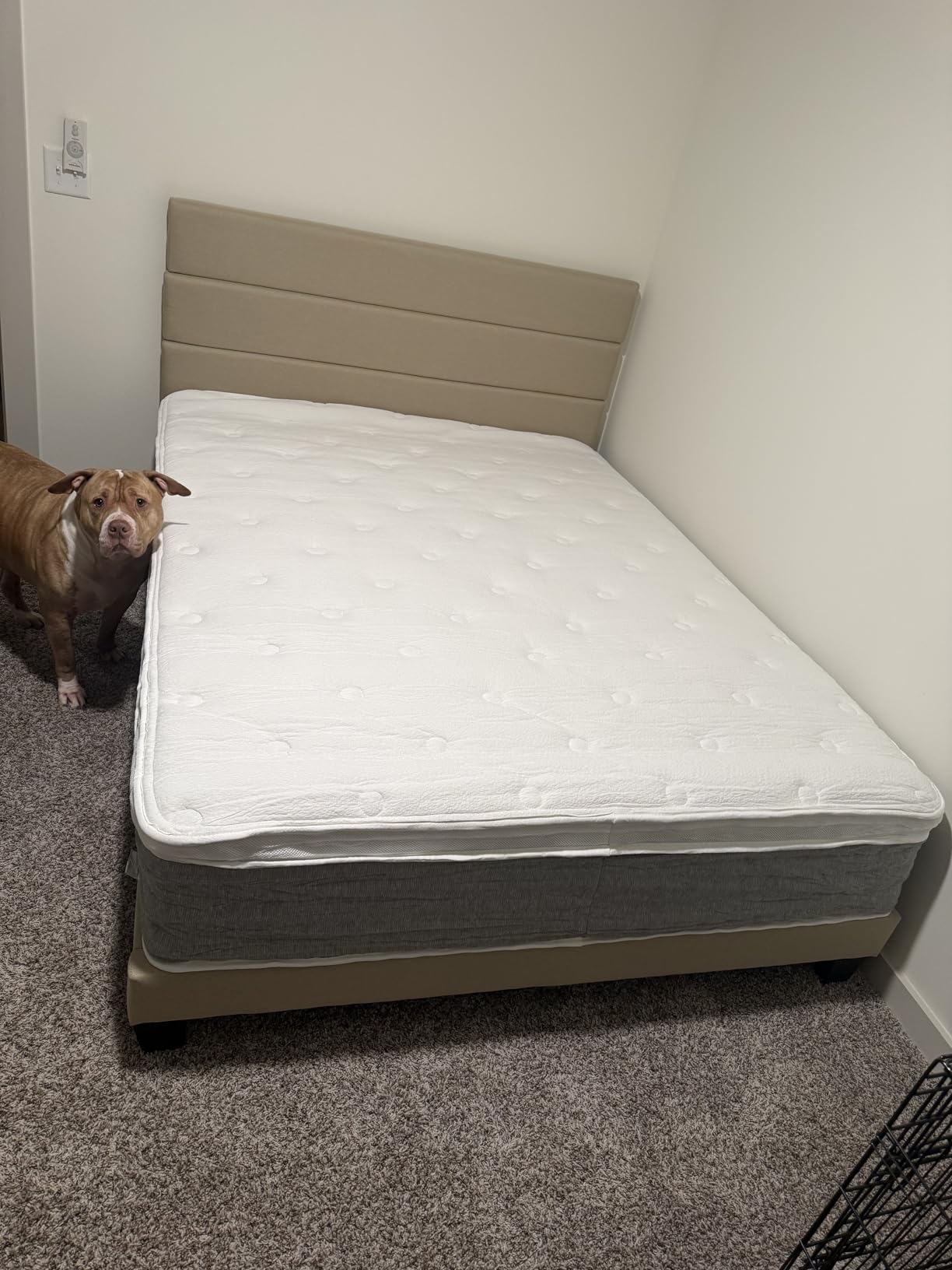 Allewie King Bed Frame Platform Bed with Fabric Upholstered Headboard and Wooden Slats Support, Fully Upholstered Mattress Foundation/No Box Spring Needed/Easy Assembly, Dark Grey customer photo 2