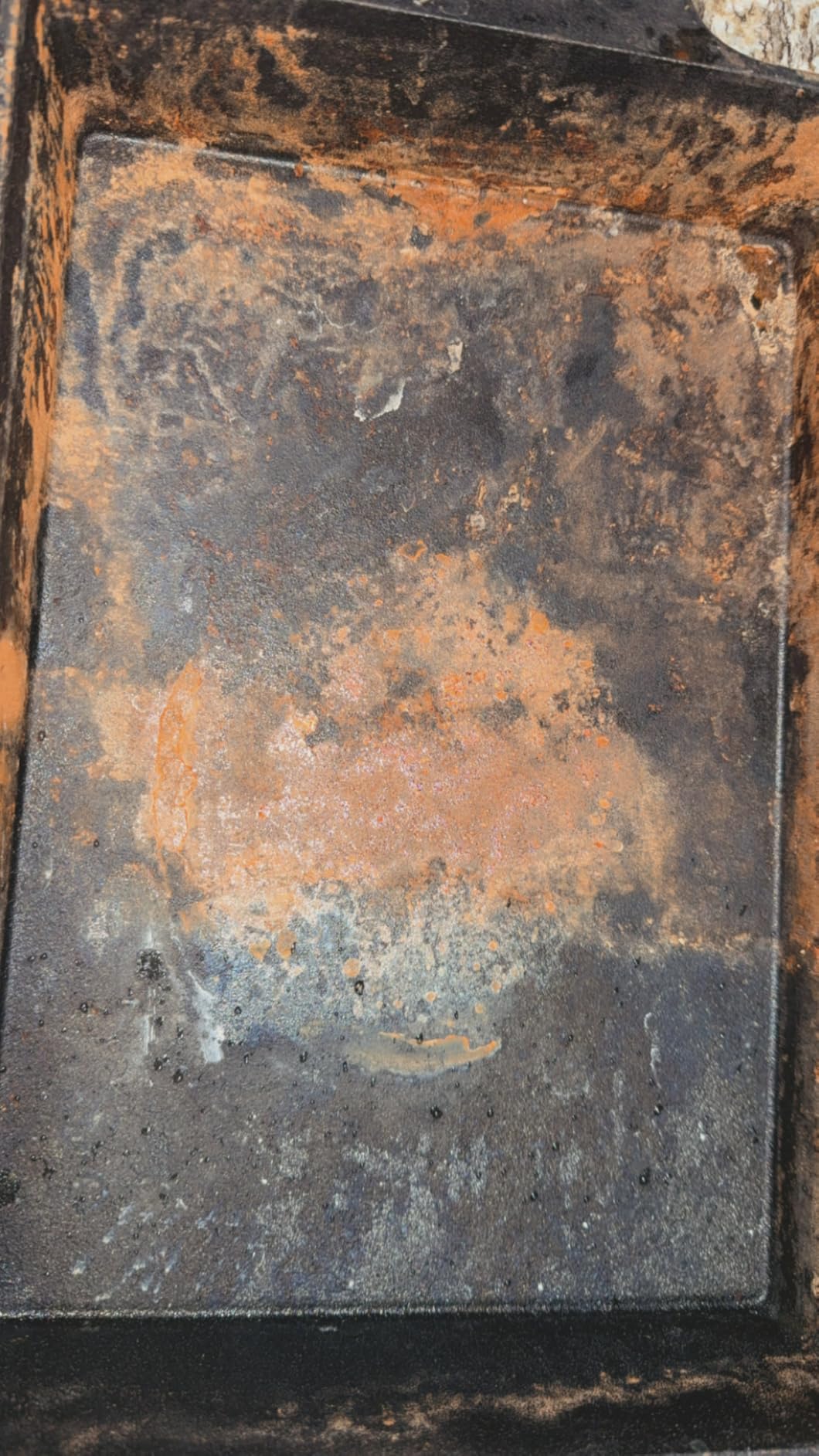 Lodge Rust Eraser customer photo 1
