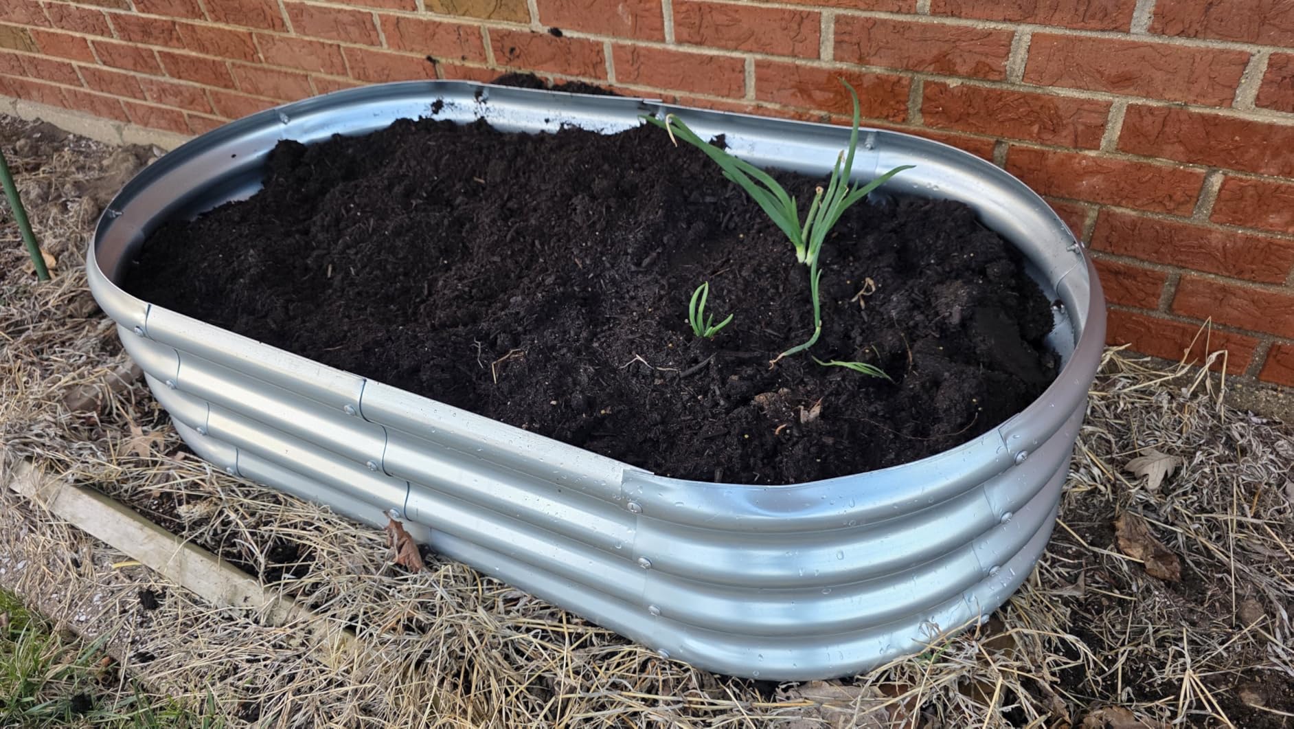 Land Guard 2-Pack 8x4x1 ft Galvanized Steel Raised Garden Bed customer photo 1