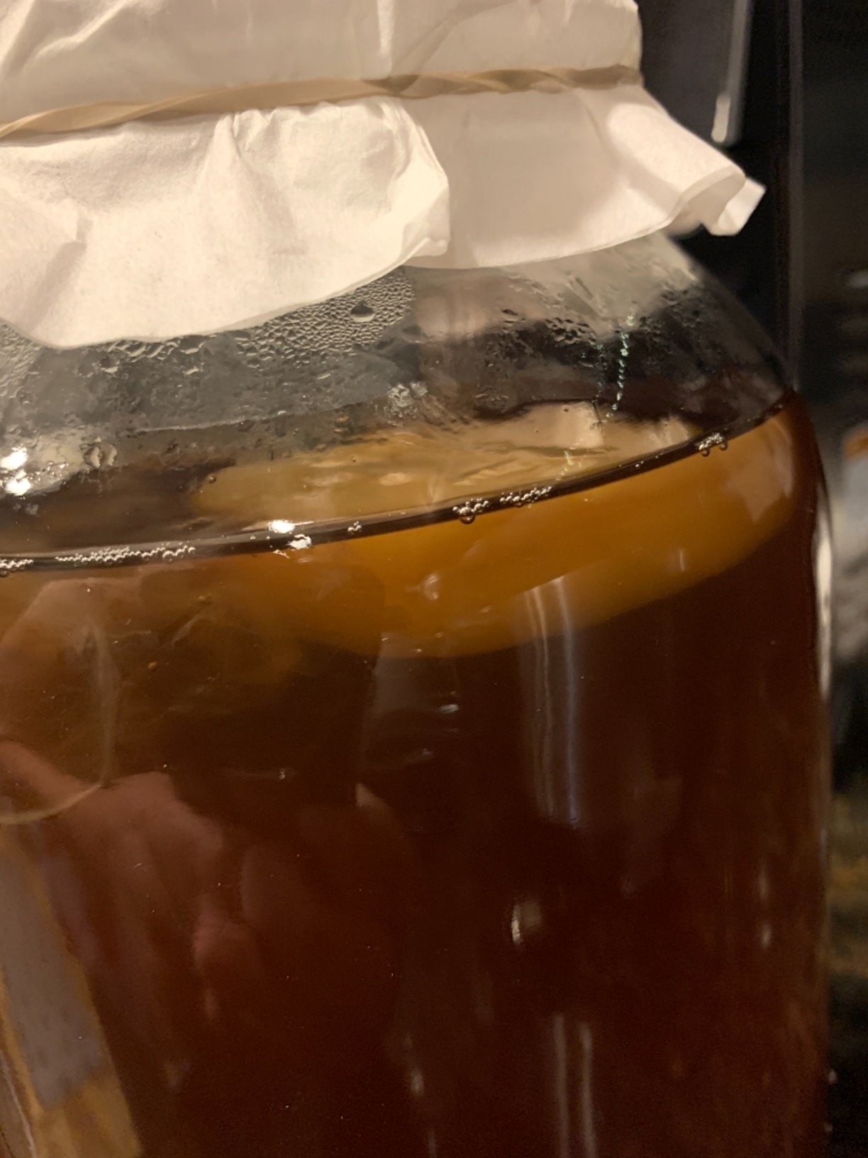 Deluxe Kombucha Starter Kit with Kombucha SCOBY & Starter Tea, Full Kombucha Kit with Bottles Swing Top Glass Bottles Kombucha Brewing Kit + 6 Bottles to Flavor Kombucha (Clear Bottles) customer photo 2