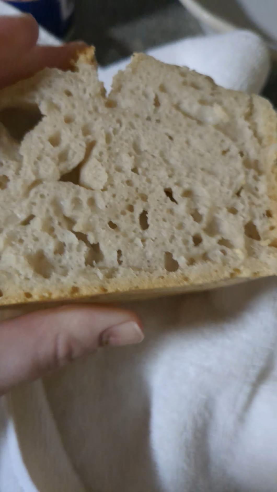 Lodge Seasoned Cast Iron Loaf Pan - Pre-Seasoned Rectangular Cast Iron Bakeware customer photo 2