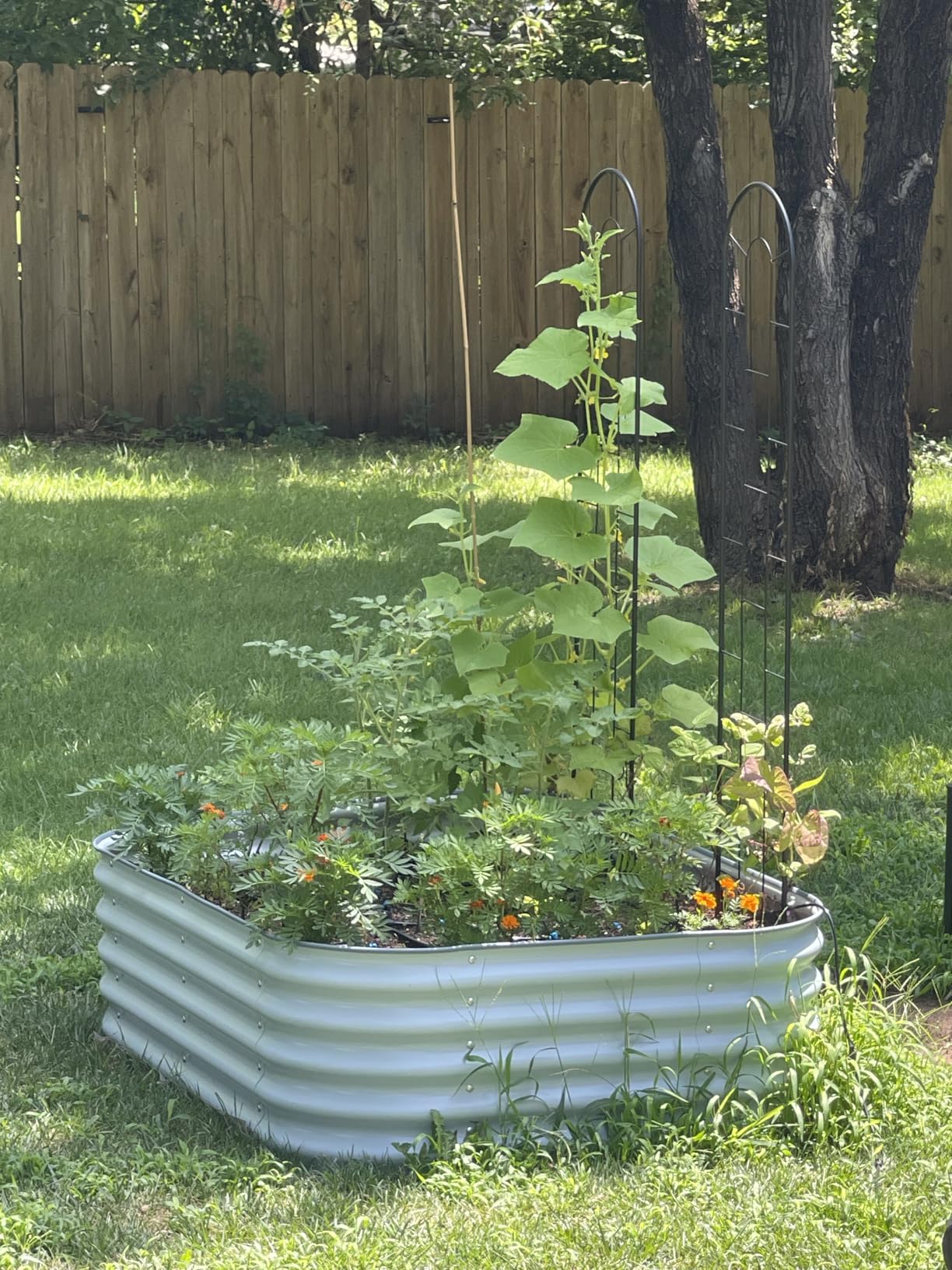 Vego Garden 17
