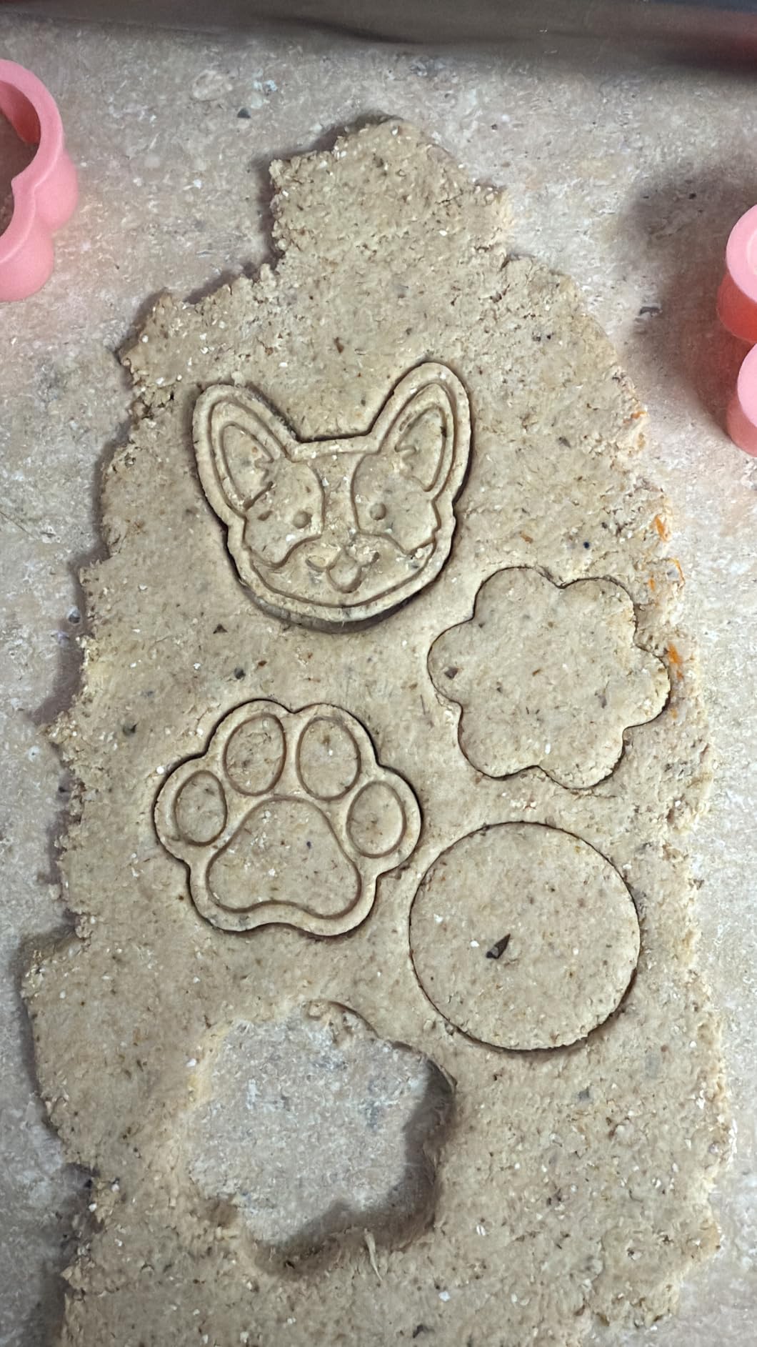 Vesici Dog Cookie Cutters Set, 8 Pcs 3D Cute Puppy Cookie Stamp with Plunger Dogs Treat Cookies Cutter DIY Animal Themed Biscuit Molds for Doggie Birthday Baking Supply Cupcake Decor(Classic Dogs) customer photo 2