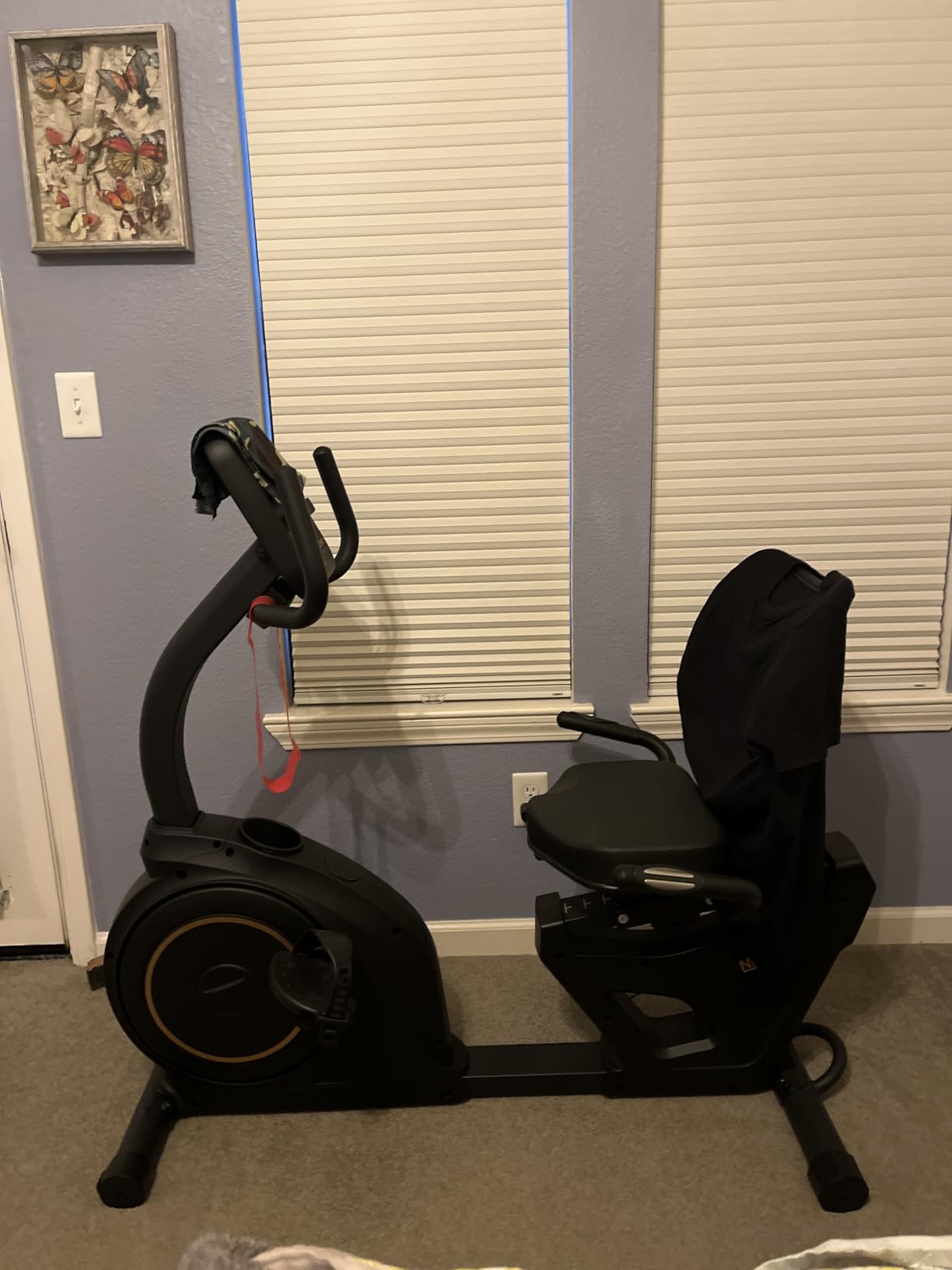 Niceday Recumbent Exercise Bike with Smart APP customer photo 1