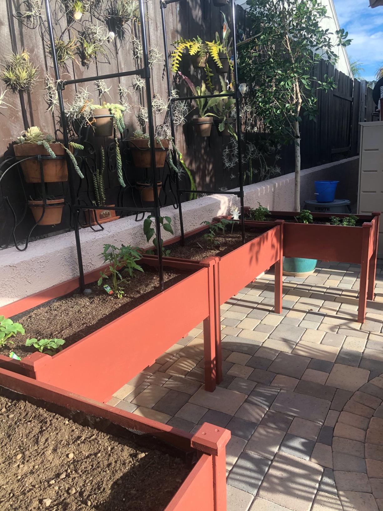 Yaheetech 2pcs Raised Garden Bed 48x24x30in Elevated Wooden Horticulture Planter Box with Legs Standing Growing Bed for Gardening/Backyard/Patio/Balcony, Wood customer photo 1