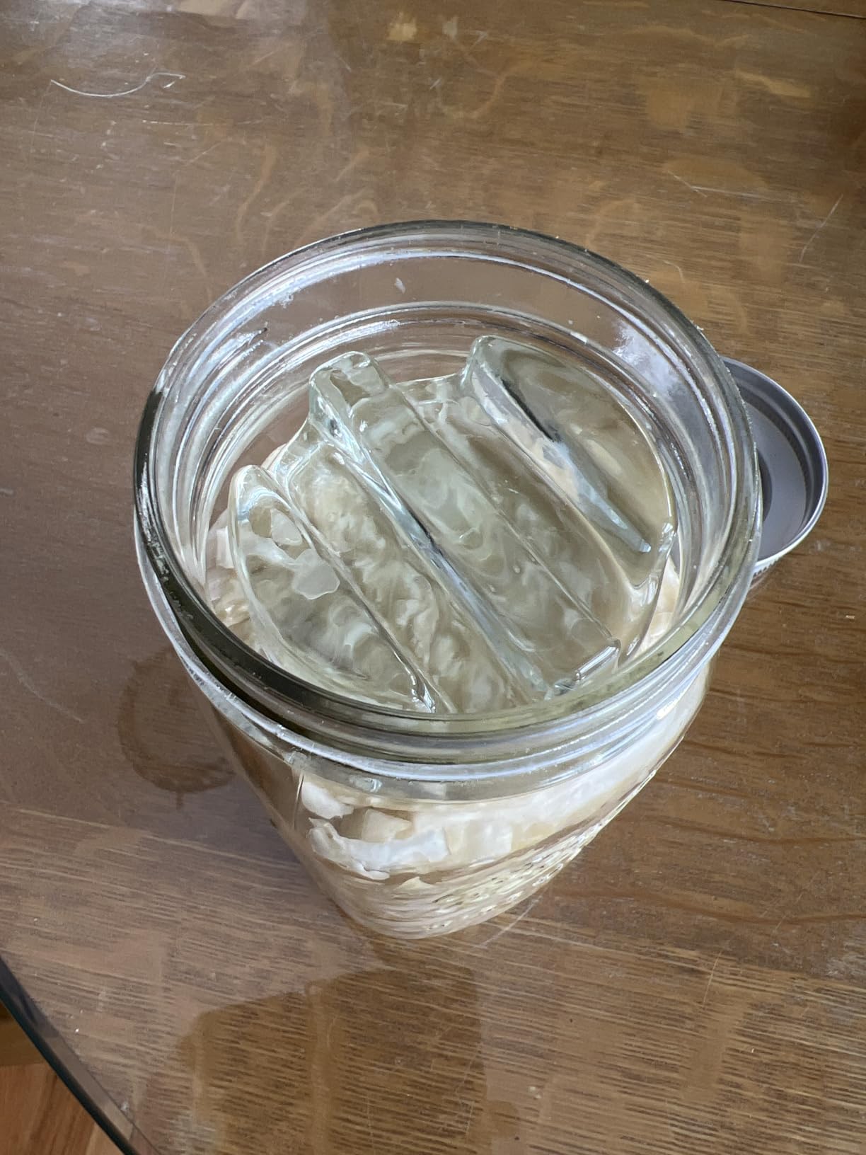 Elementi Fermentation Weight Set of 2 - Easy to Use Glass Fermenting Weights, Perfect Fit for Wide Mouth Mason Jars customer photo 1