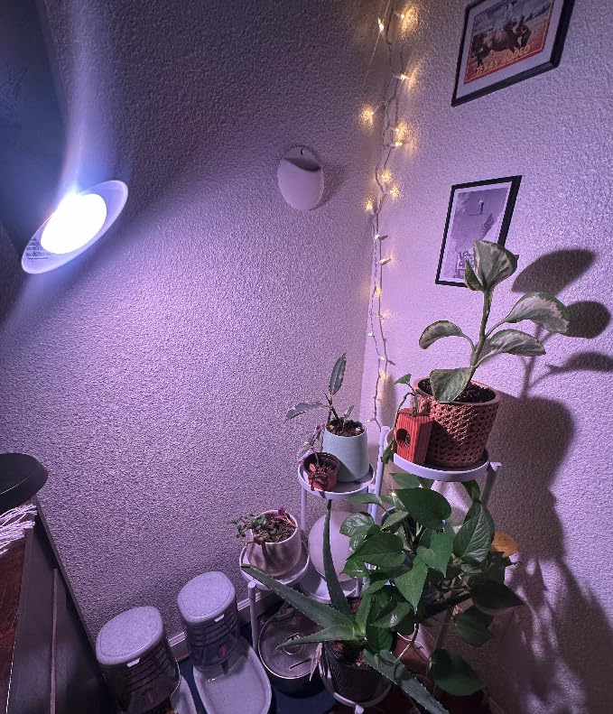GE Grow Lights for Indoor Plants, BR30 Indoor Floodlight, LED Light Bulbs for Seeds and Greens with Balanced Spectrum, 25,000 Hours Lifespan, 16 PPF, 2 Pack customer photo 2