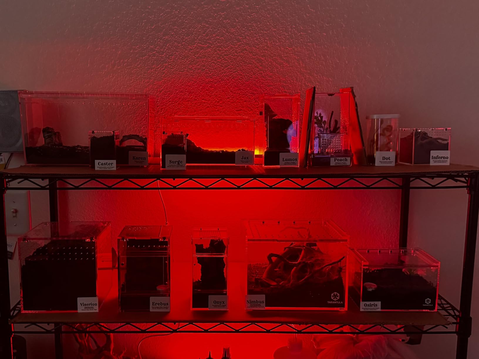 6 Pcs RGB Under Cabinet Lights Kit, Smart App and Remote Control Under Cabinet Lighting, Dimmable Under Counter Lights for Kitchen, Plug in LED Lights Bar for Cabinet, Counter, Workbench, Desk customer photo 1