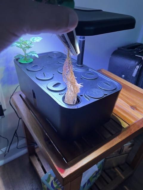 Ahopegarden Indoor Garden Hydroponics Growing System: 10 Pods Plant Germination Kit Herb Vegetable Growth Lamp Countertop with LED Grow Light customer photo 1