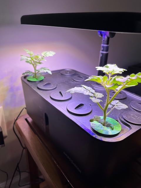 Ahopegarden Indoor Garden Hydroponics Growing System: 10 Pods Plant Germination Kit Herb Vegetable Growth Lamp Countertop with LED Grow Light customer photo 2