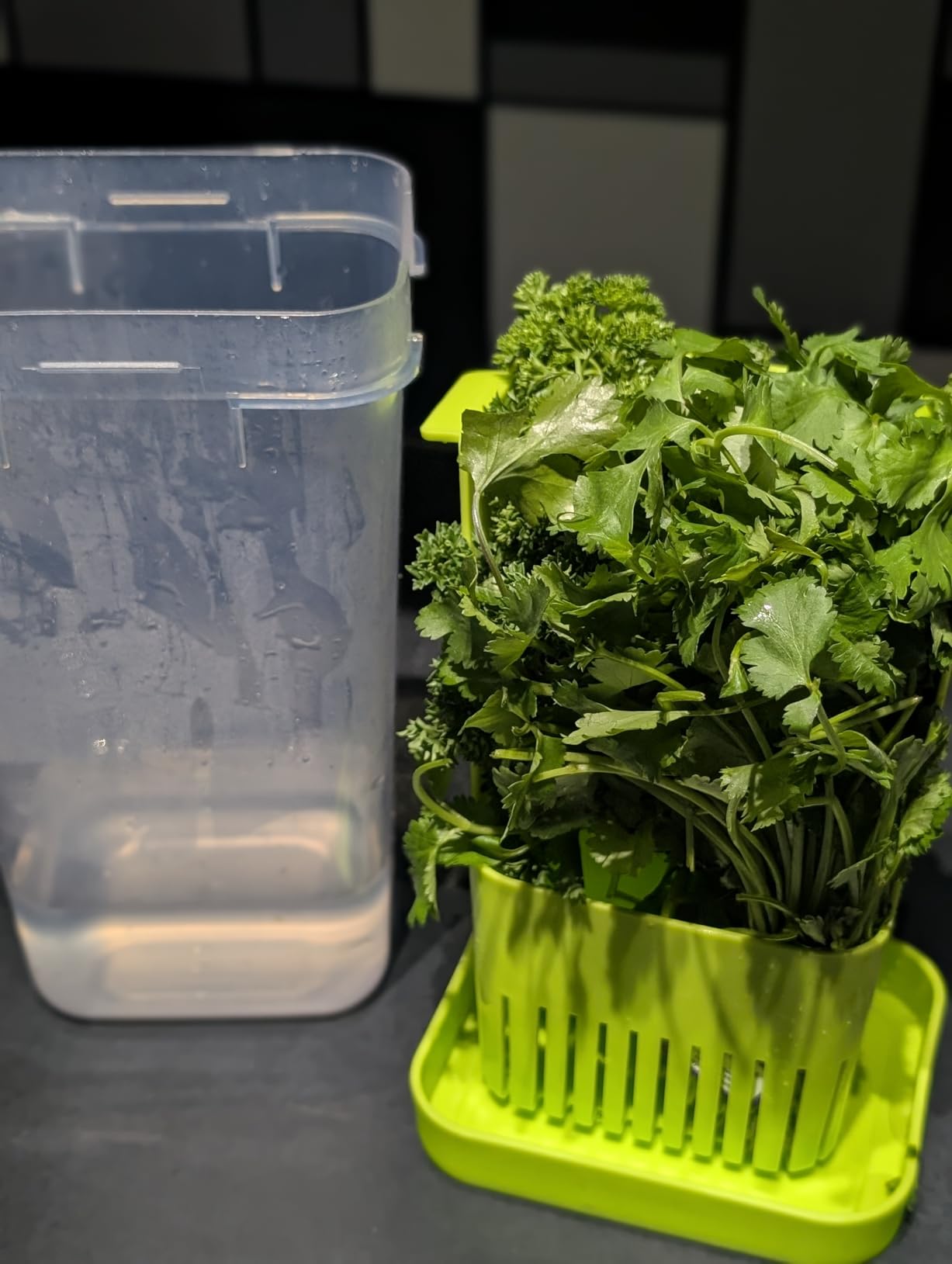 2 Pack Herb Keeper, BPA-Free Plastic Herb Saver with an Inner Basket for Cilantro, Mint, Parsley, and Asparagus, Keeps Fresh Herbs for 3 Times Longer customer photo 2
