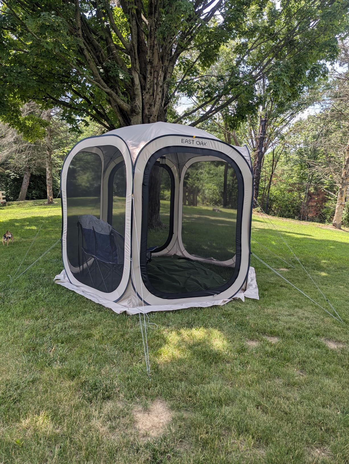 East Oak Screen House Tent Pop-Up, Portable Screen Room Canopy Instant Screen Tent 10 x 10 FT with Carry Bag for Patio, Backyard, Deck & Outdoor Activities, Beige customer photo 2