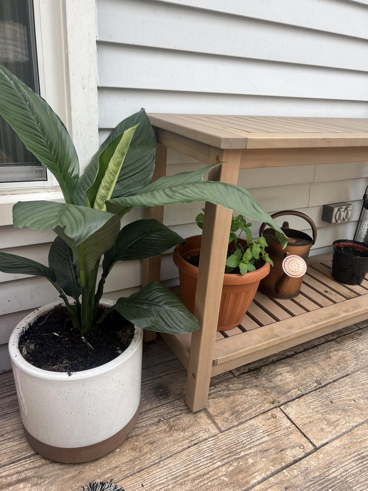 Best Choice Products 48in 2-Shelf Eucalyptus Wooden Console Table Indoor Outdoor Multifunctional Buffet Bar Storage Organizer w/Foot Sliders - Gray customer photo 1