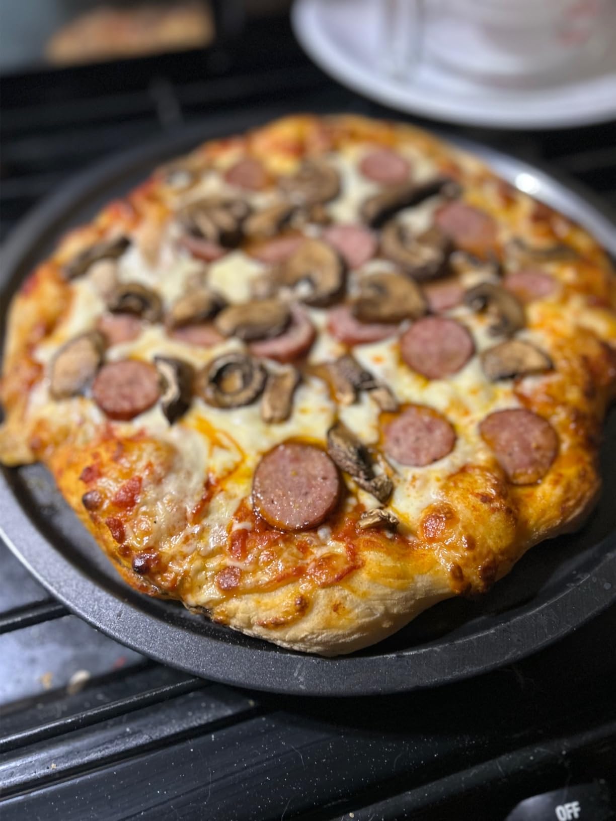 EDOSTORY Outdoor Pizza Oven, Wood Fired for Outside, Patio Maker With Stone, Peel, Grill Rack, and Waterproof Cover for Backyard Camping customer photo 2