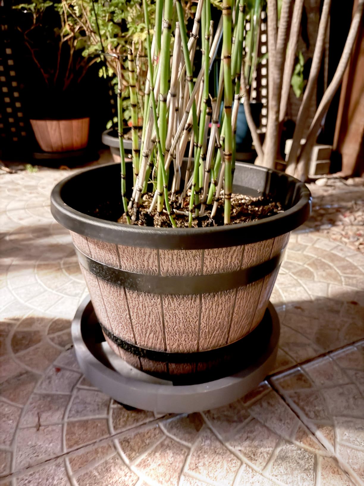Quarut 3 Pack 10 inch Plant Pots, Whiskey Barrel Planters with Drainage Holes & Saucer, Plastic Decoration Flower Pots Imitation Wine Barrel Design, for Indoor & Outdoor Garden Home Plants (Brown) customer photo 1