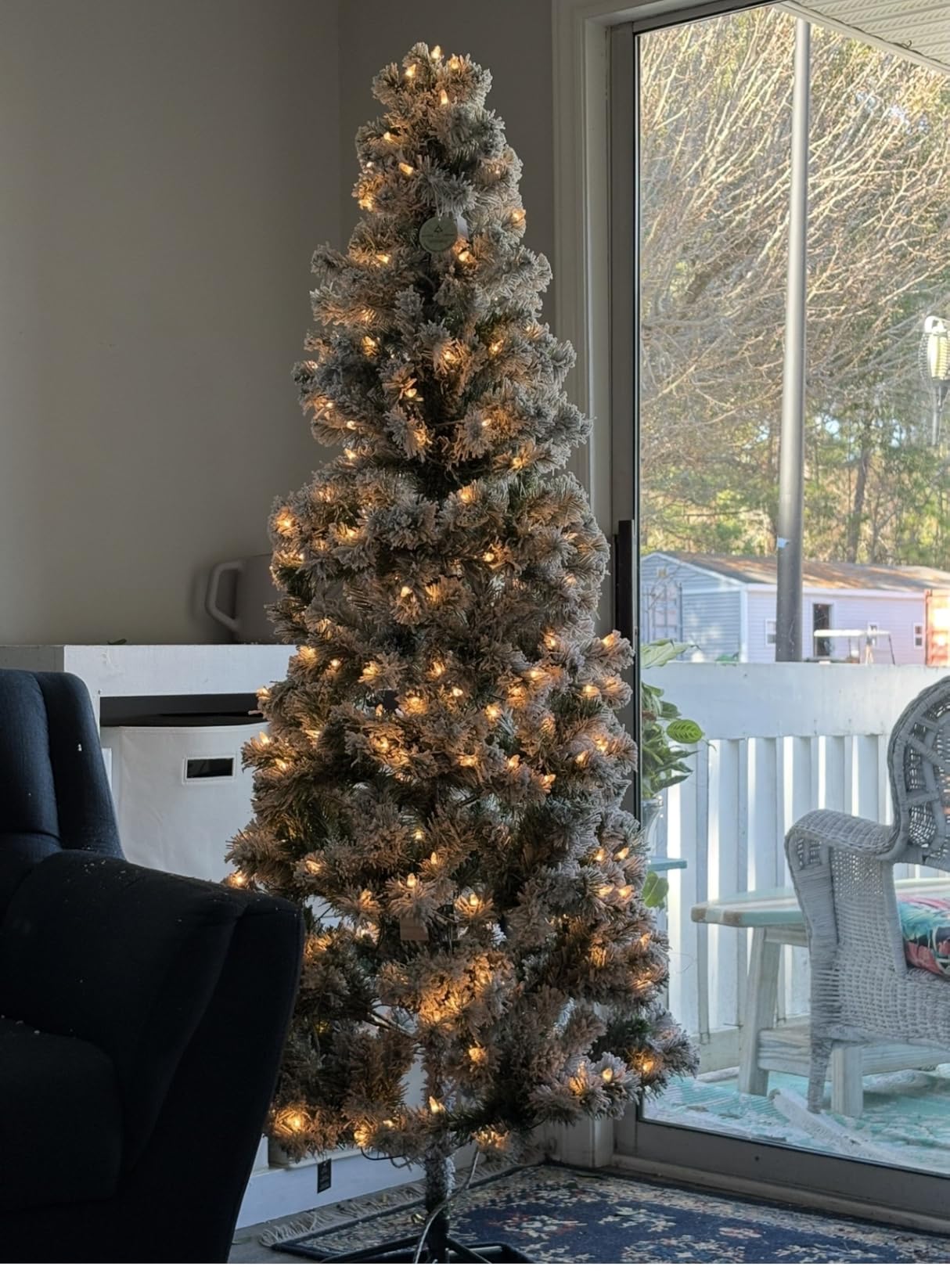 National Tree Company 6 ft Pre-Lit Flocked Acacia Slim Artificial Christmas Tree, 250 Warm White LED Lights, 512 Tips, Includes Stand, Green customer photo 2