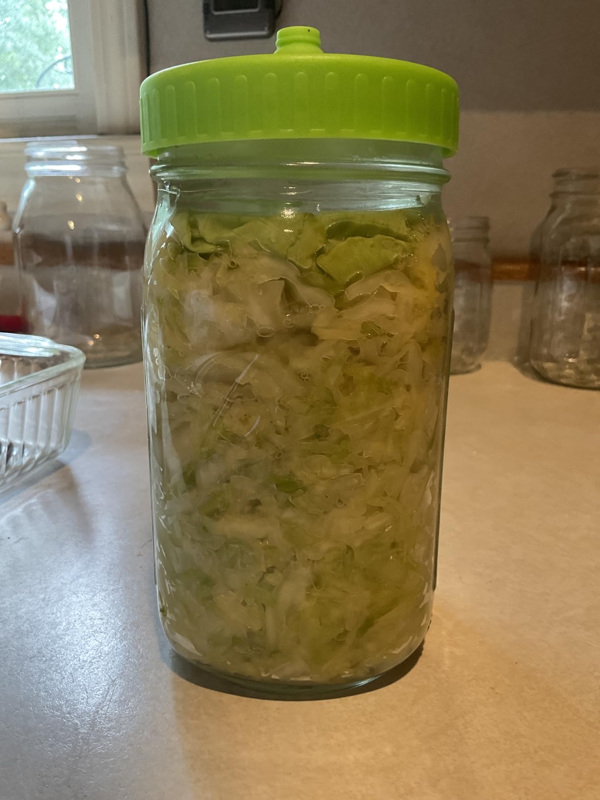 Mason Jar Fermentation kit for Wide mouth Mason Jar with 4 Glass Weight and 4 Fermenter Caps Pickle Pipes -Jars Not Included(Without pounder) customer photo 2