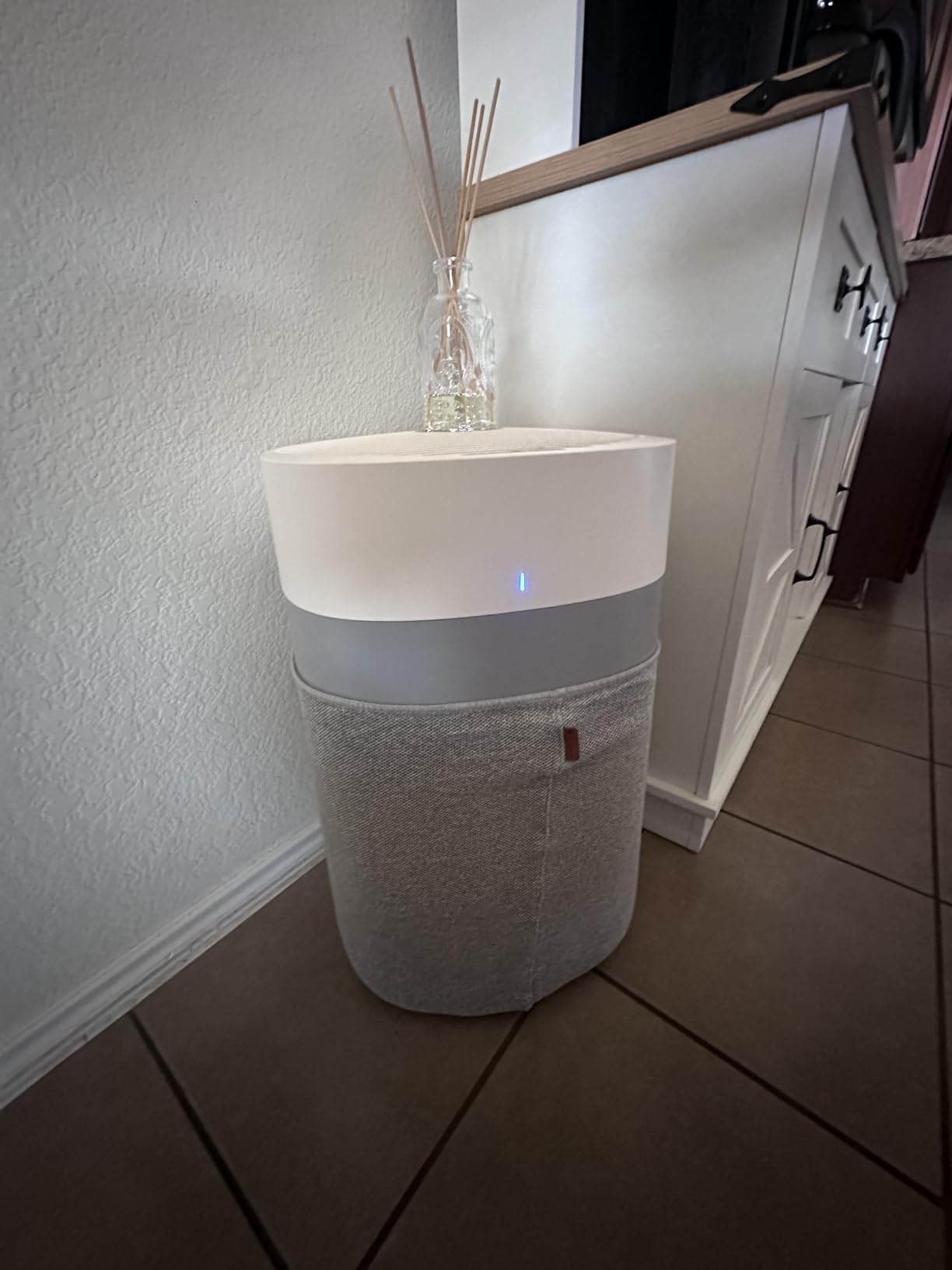 BLUEAIR Air Purifiers for Large Rooms, Cleans 3,048 Sqft In One Hour, HEPASilent Smart Air Cleaner For Home, Pets, Allergies, Virus, Dust, Mold, Smoke - Blue Pure 211i Max customer photo 2