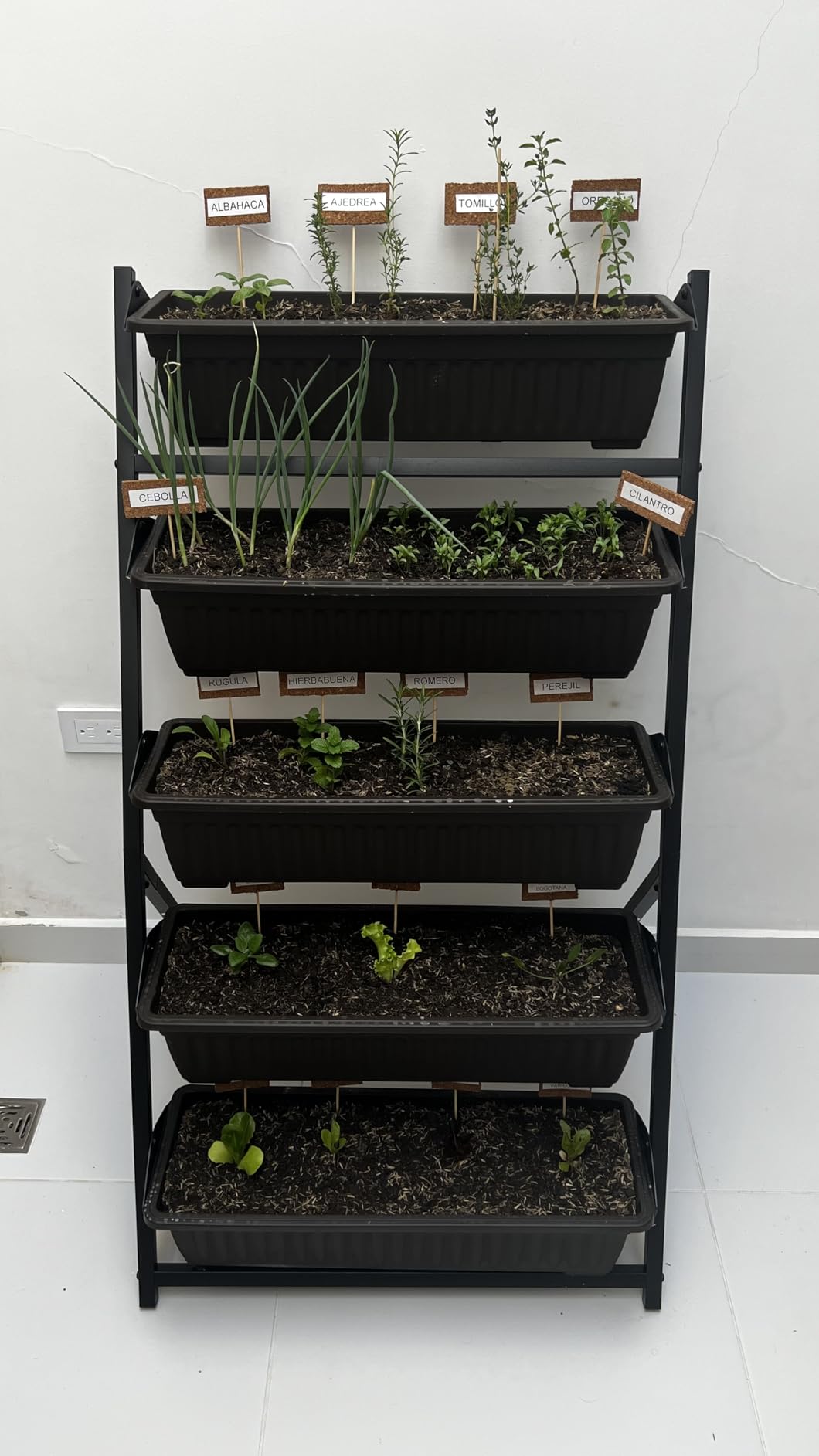 TOREVSIOR 5-Tier Vertical Raised Garden Bed, Vertical Garden Planter with Water Drainage, Elevated Garden Bed for Vegetables Flowers Herbs Indoor Outdoor customer photo 1