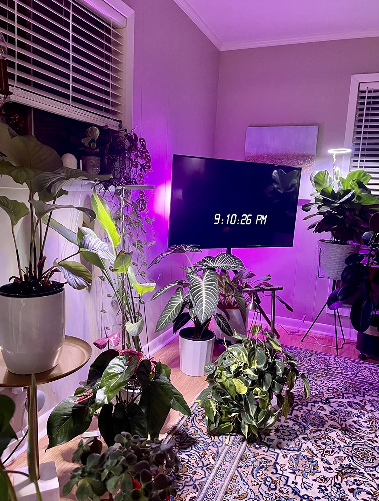 Plant Grow Light, yadoker LED Growing Light Full Spectrum for Indoor Plants, Height Adjustable, Automatic Timer, 5V Low Safe Voltage, Idea for Large Plant Light customer photo 2