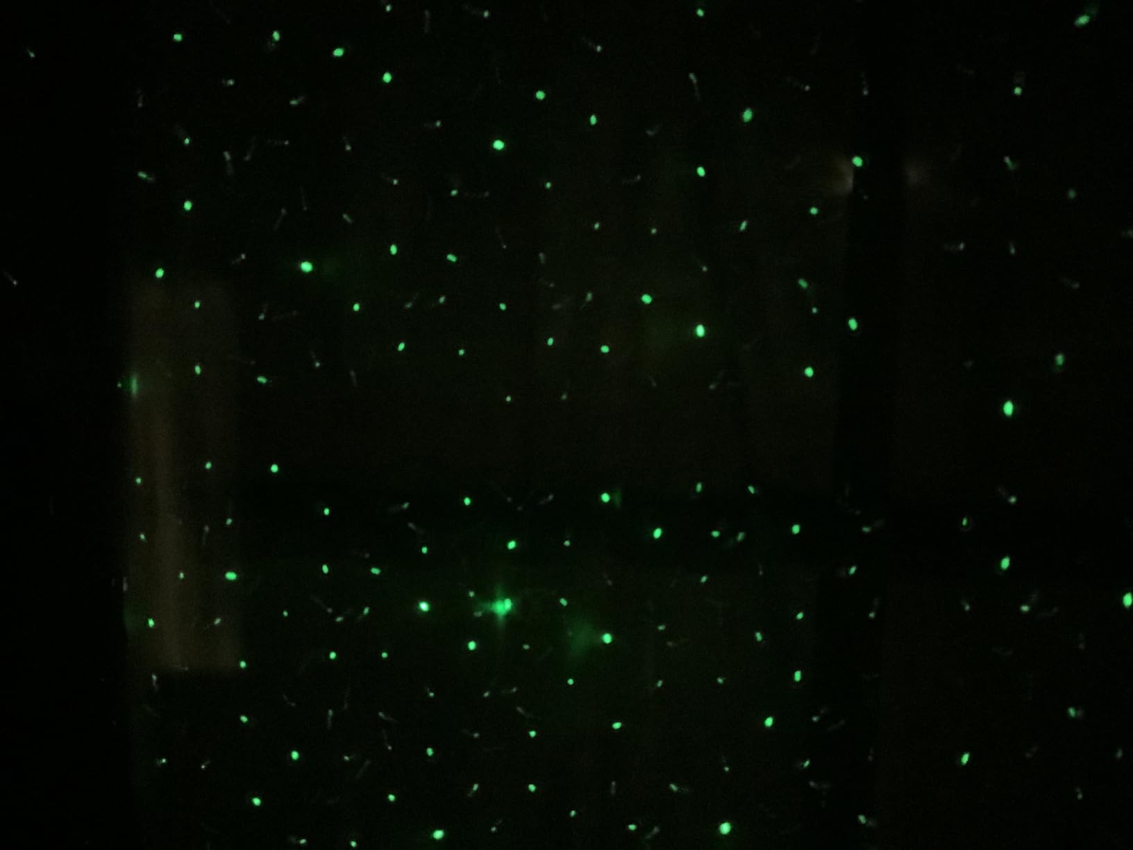 Laser Christmas Projector Lights Outdoor, 3 Color Laser Light Projector, Firefly Lights Show with RF Remote, Waterproof, Indoor Holiday Decoration, Christmas Gift, Wedding, Home Decor, Party, Garden customer photo 1