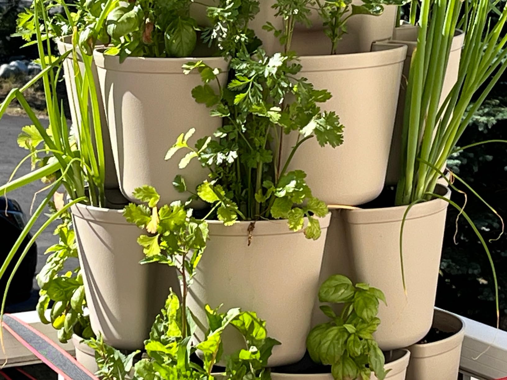 Greenstalk 7 Tier Leaf Vertical Planter for Growing Strawberries, Vegetables, Herbs & Flowers (Evergreen) customer photo 1
