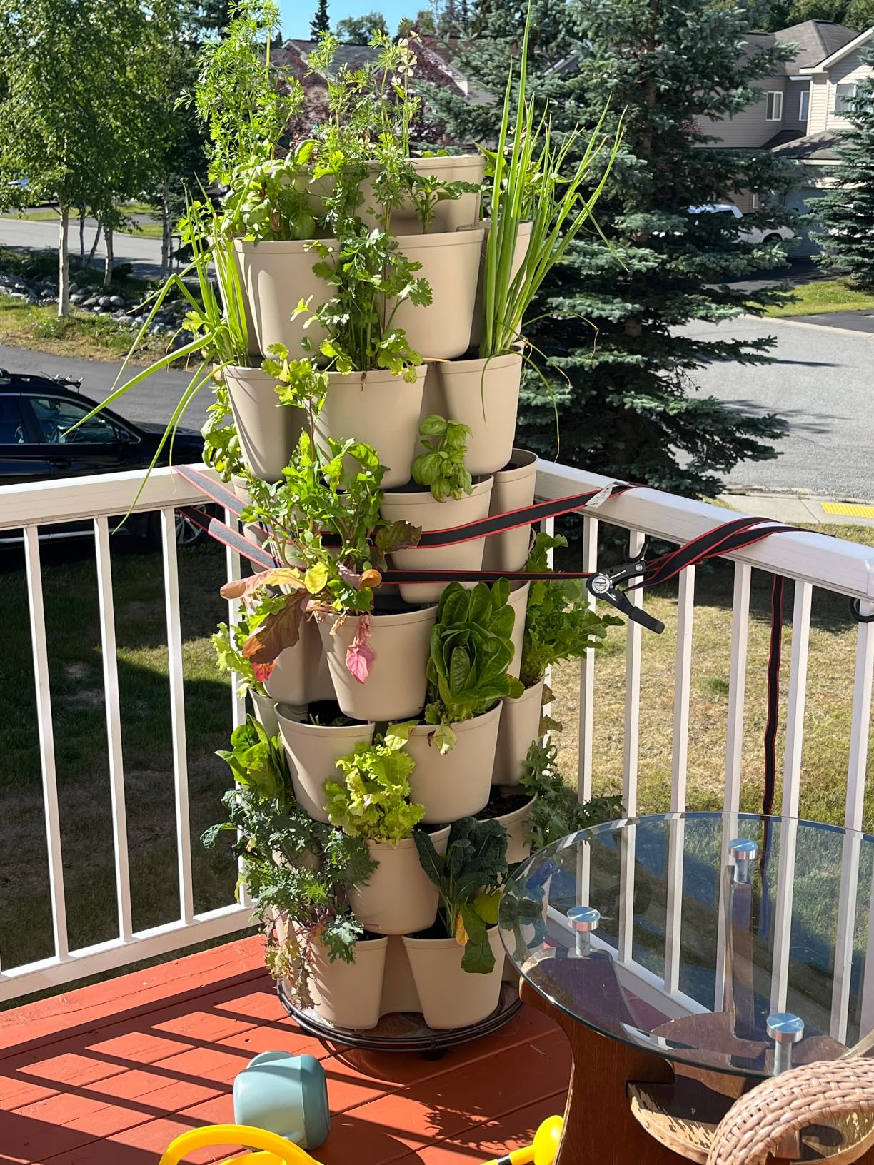 Greenstalk 7 Tier Leaf Vertical Planter for Growing Strawberries, Vegetables, Herbs & Flowers (Evergreen) customer photo 2