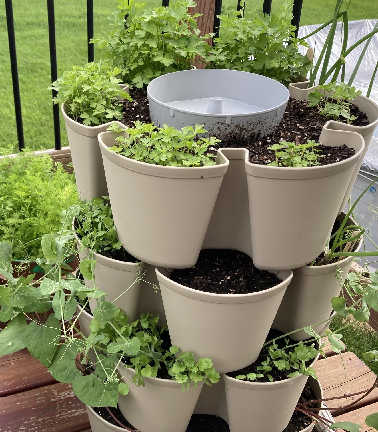 Greenstalk Patented Large 5 Tier Vertical Garden Planter with Patented Internal Watering System (Evergreen) customer photo 1