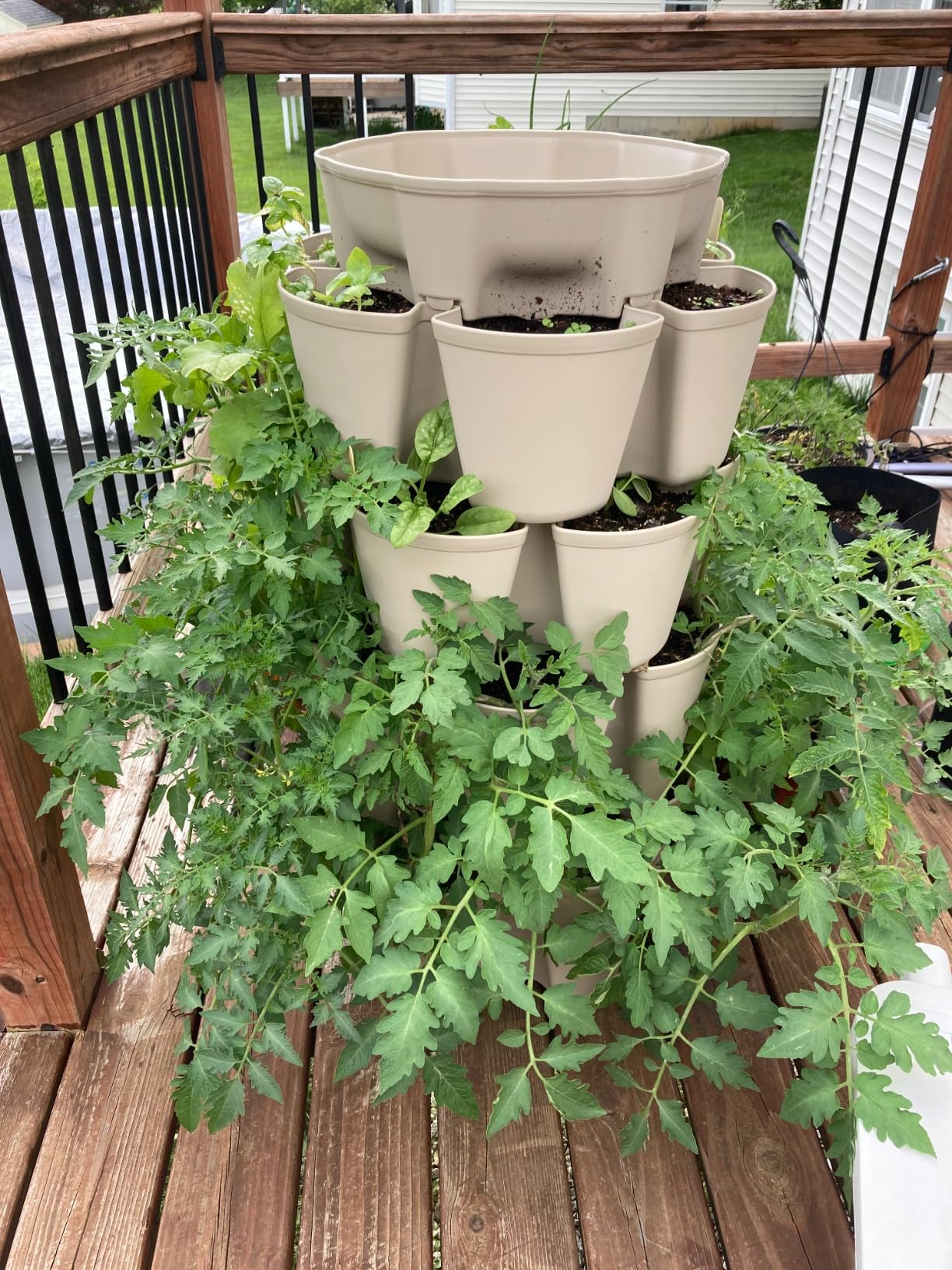 Greenstalk Patented Large 5 Tier Vertical Garden Planter with Patented Internal Watering System (Evergreen) customer photo 2