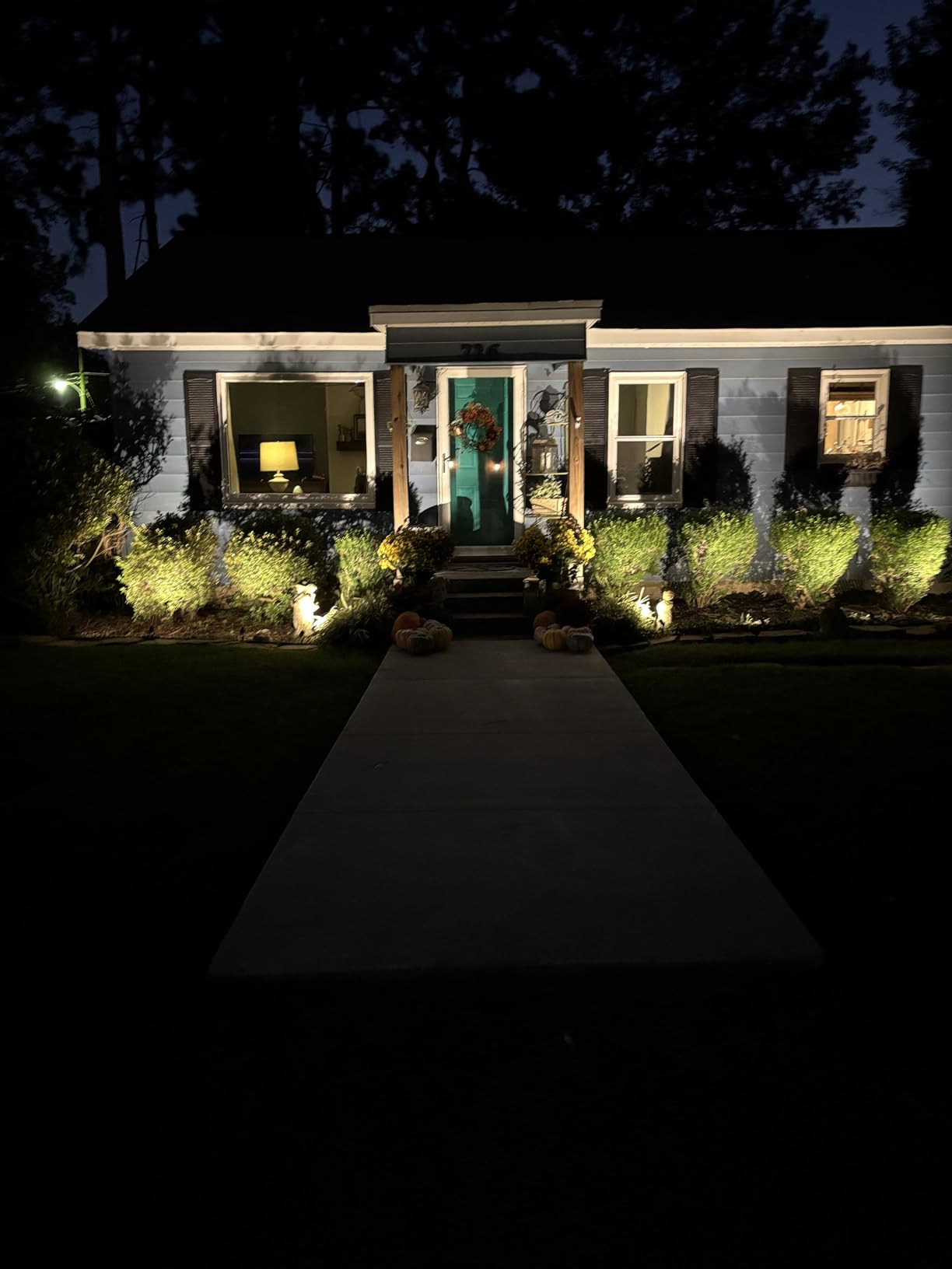 SUNVIE All-In-One LED Landscape Lighting Kit, 8-Pack Low Voltage Landscape Lights with Transformer and 65FT UL-Listed Wire, 3000K Waterproof Outdoor Uplights with Connectors for Yard House Garden Tree customer photo 1