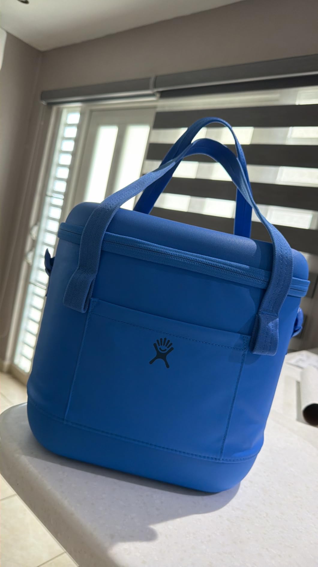 Hydro Flask Cooler Bag - Insulated Portable Soft Cooler - 20 L Capacity customer photo 2