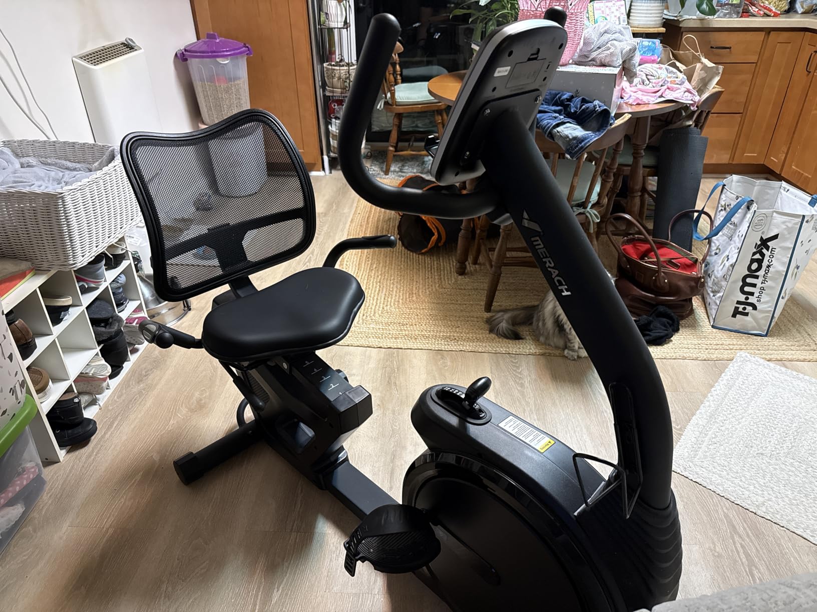 MERACH Recumbent Exercise Bikes for Home High-end customer photo 2