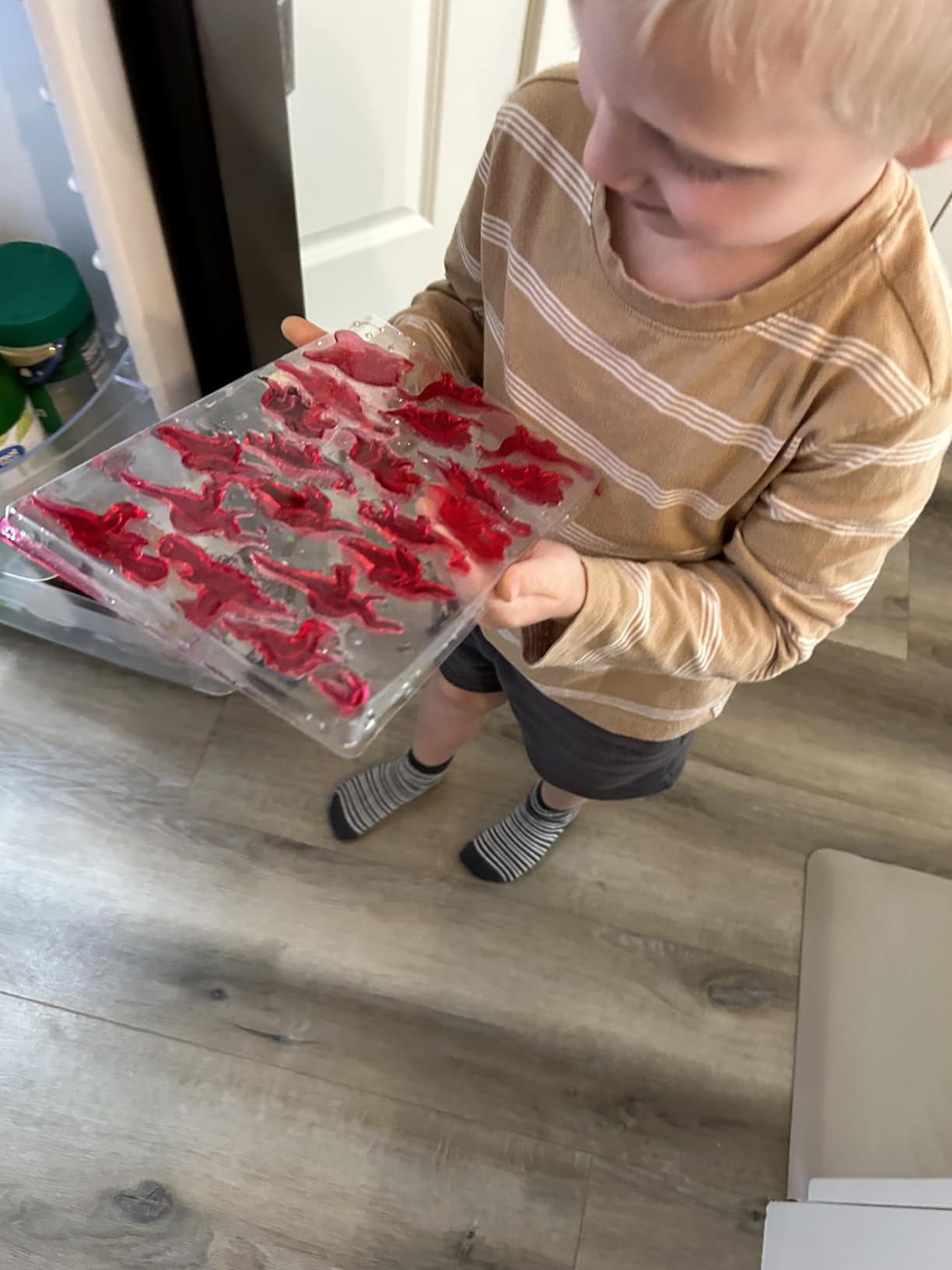 Thames & Kosmos Dinosaur Gummy Candy Lab, Tasty Labs STEM Experiment Kit, Make Your Own Dinosaur-Shaped Gummies, Explore Chemistry in Cooking, Safe to Eat, Ages 6+, Made in USA customer photo 2
