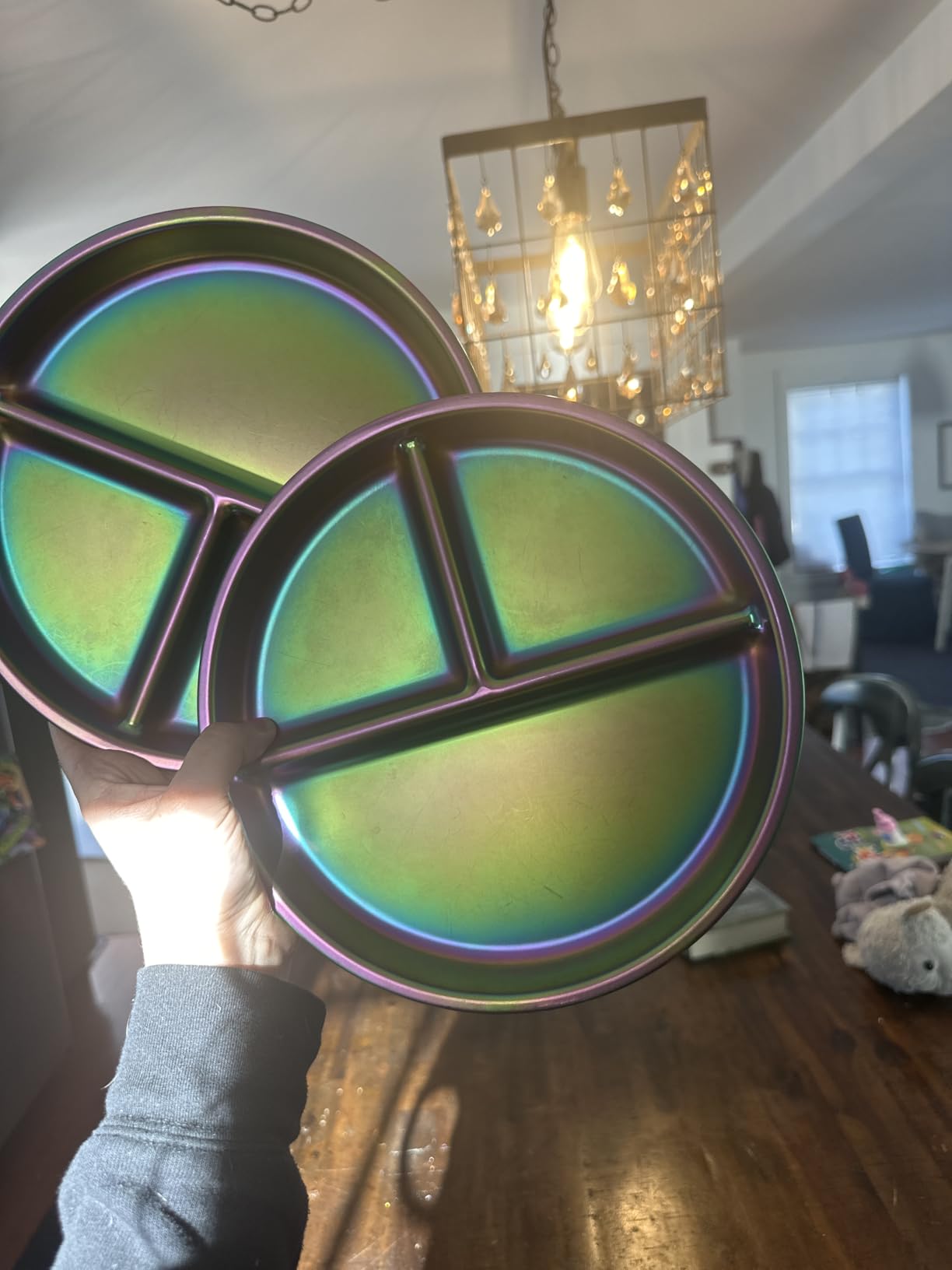Stainless Steel Kids Plates Set of 4, 9
