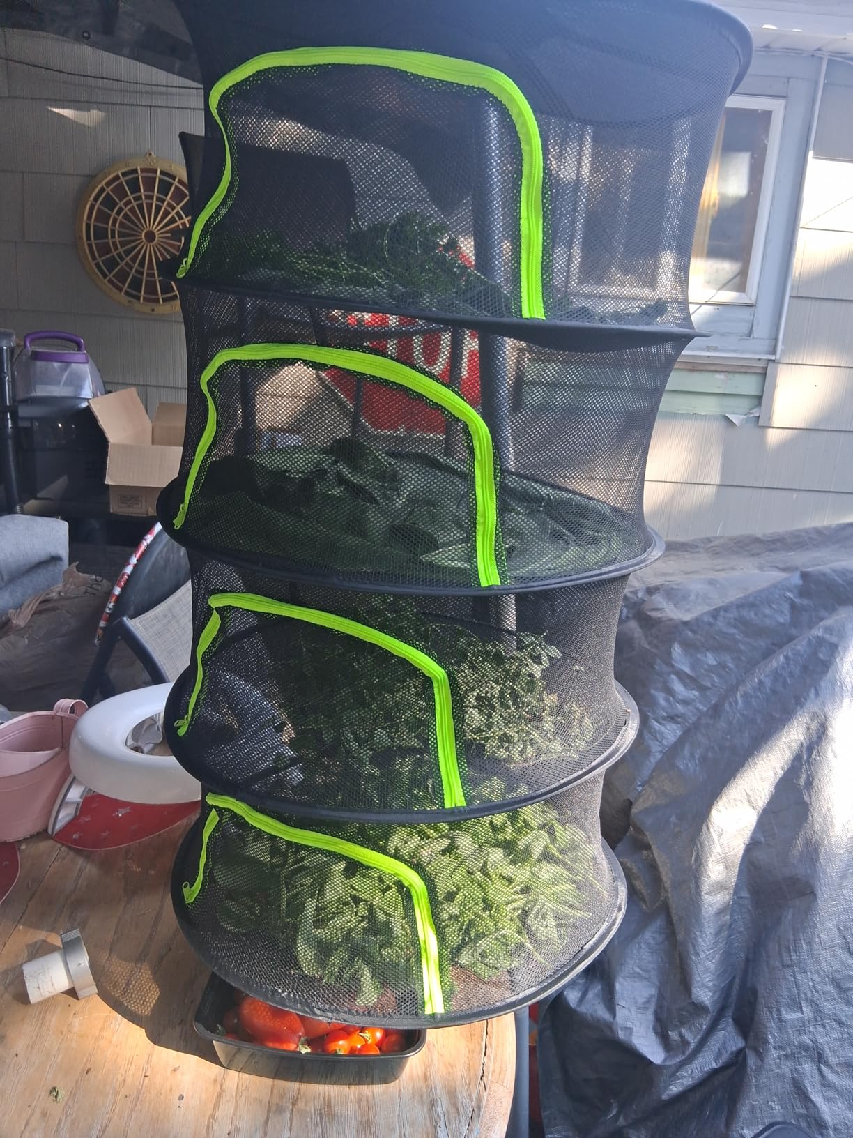 Herb Drying Rack Hanging Mesh 8 Layer 24