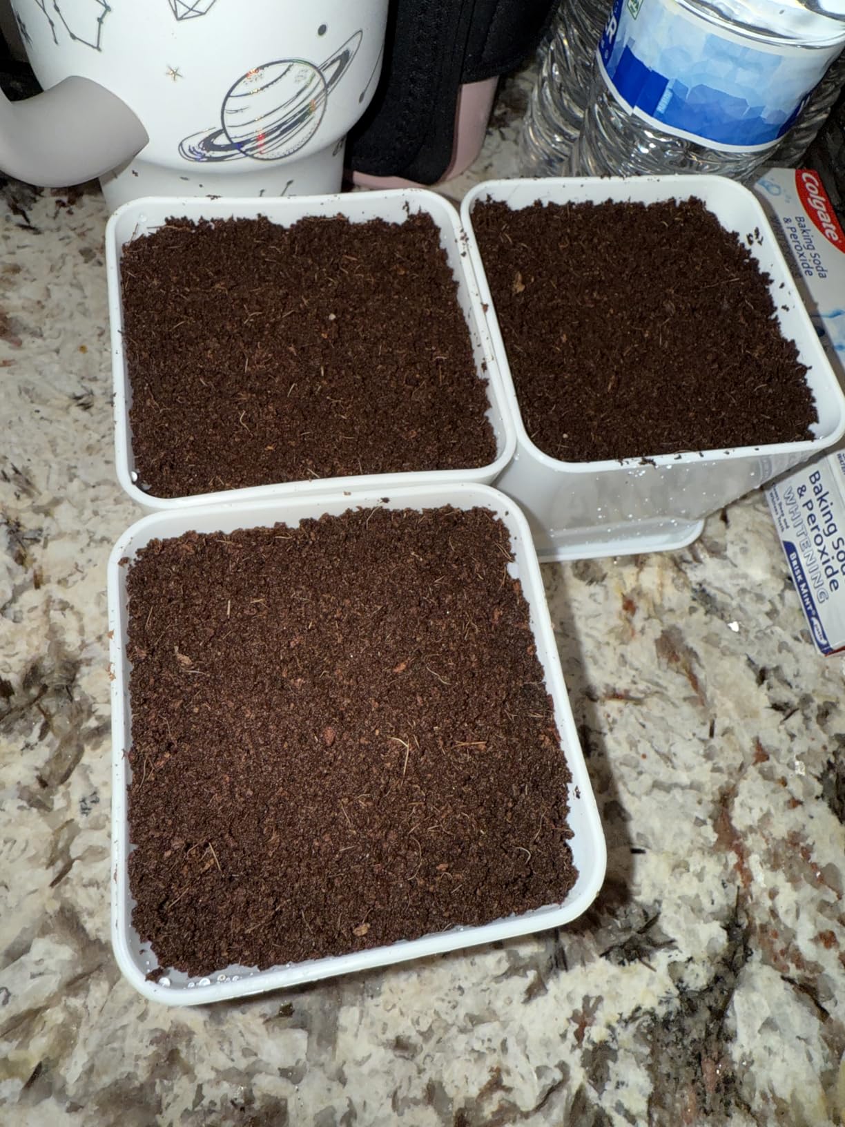 Indoor Herb Garden Kit - 10 Non-GMO Herb Seeds with Soil, Pots & Moisture Meter - Easy Windowsill Gardening Starter Set - Unique Gift for Gardeners, Home Chefs & Families customer photo 2