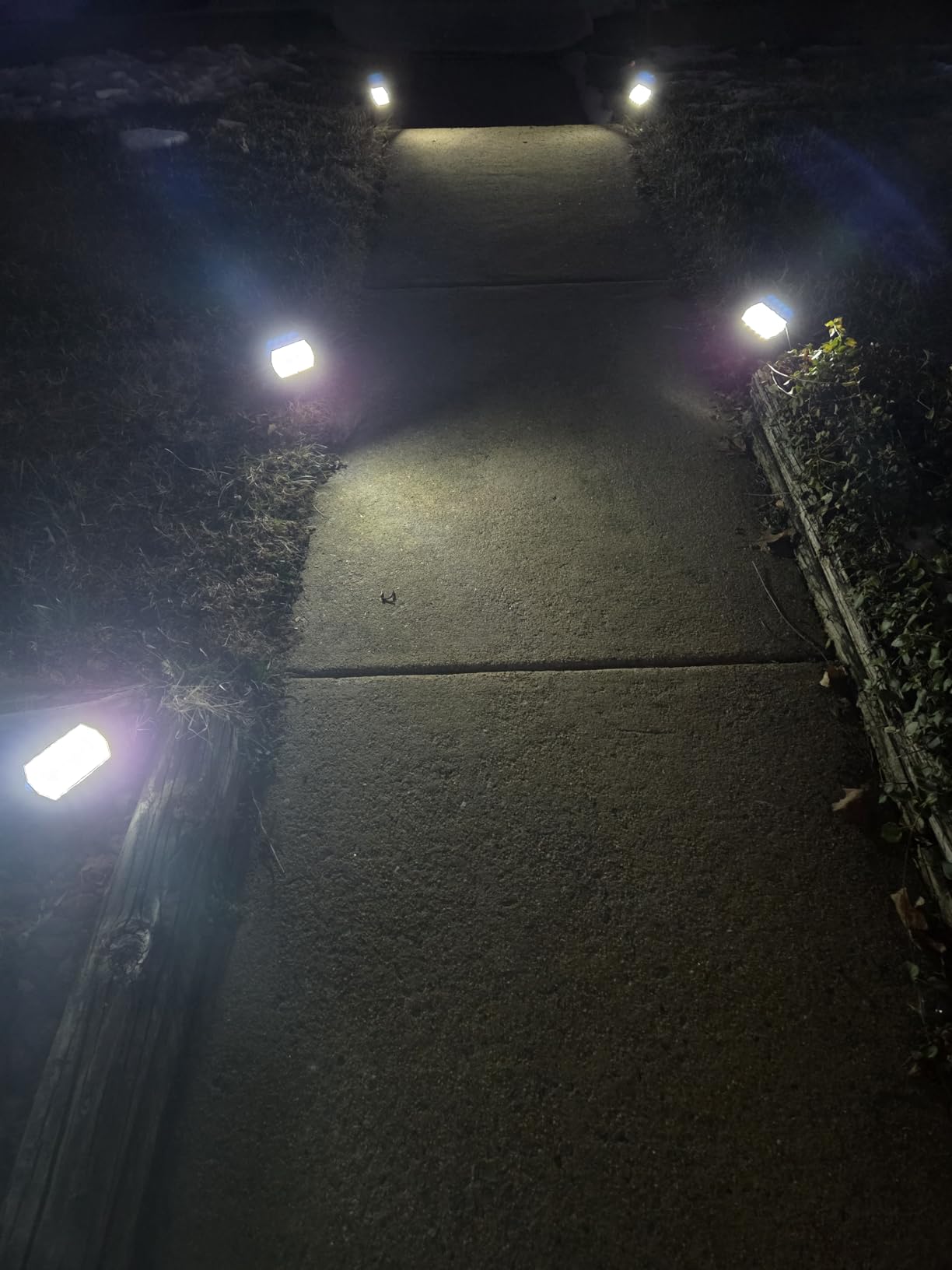 WELALO Solar Color Changing Spot Lights Outdoor, Waterproof Solar Halloween Lights, 7 Modes Multicolor RGB Landscape Spotlights for Garden Yard Driveway Lawn Patio Pathway Christmas Decorations 6 Pack customer photo 1