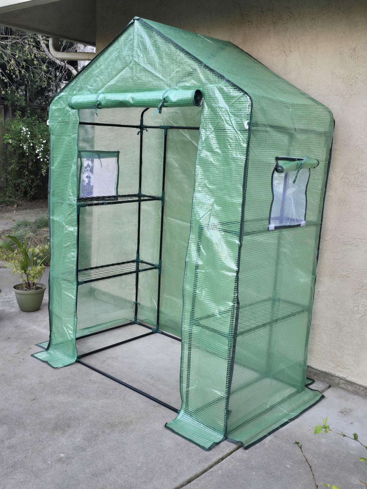 Greengro Greenhouse, 28 x 57 x 76'' Greenhouses for Outdoors, Small Plant Green House with Screen Windows, 3 Tiers 4 Shelves, Durable PE Cover, Plastic Portable Walk in Greenhouses for Outside Indoor customer photo 1