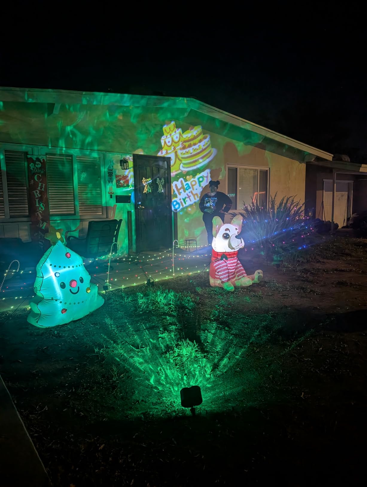 4-Large Pattern Halloween Christmas Projector Lights Outdoor, 29 Effects customer photo 1