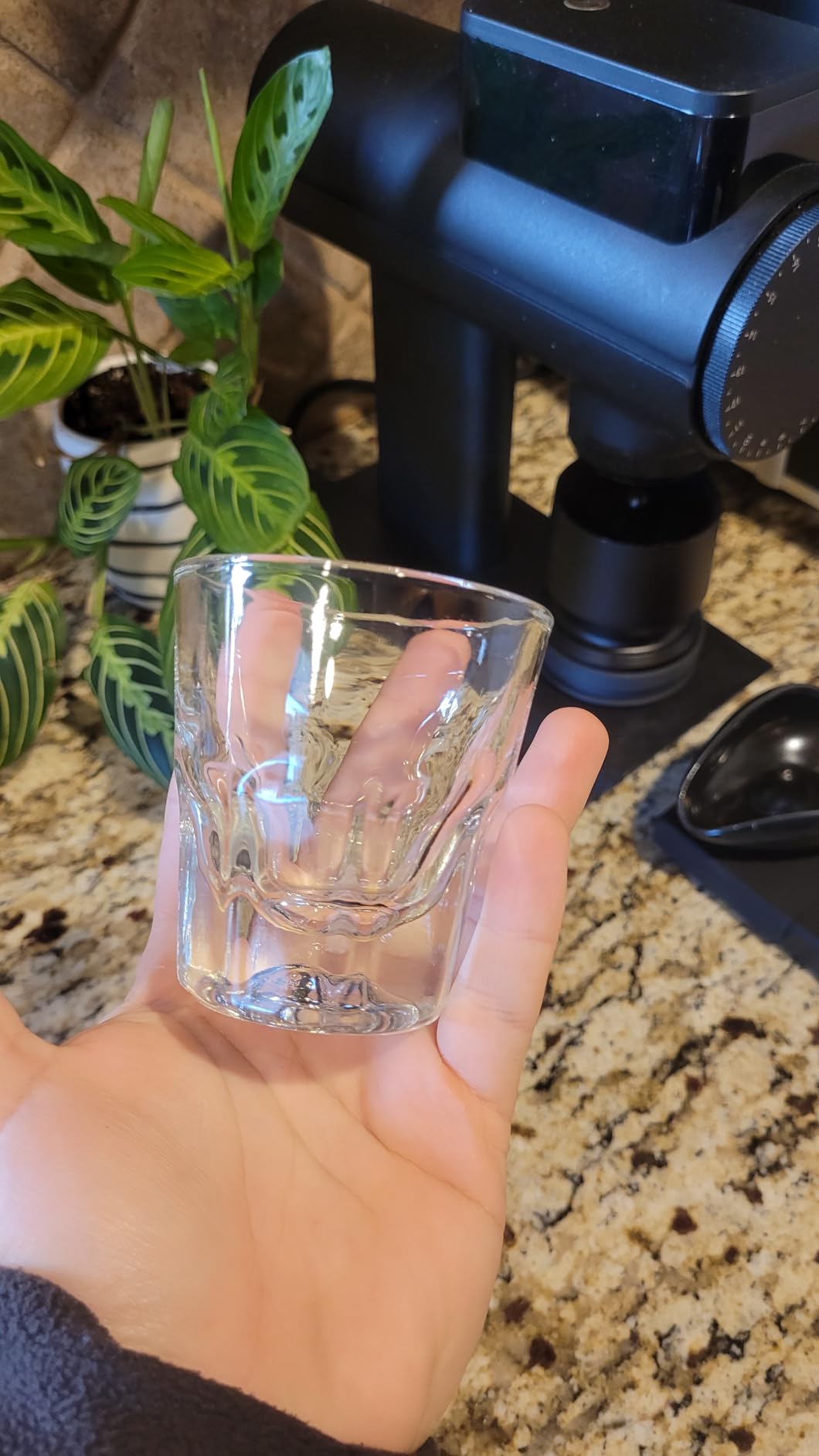 Necessia Premium Cortado Glasses 4.5oz - Set of 2, Heat-Treated Tempered Glass, Elegant Espresso Cups, Durable Barista-Grade Coffee Glassware customer photo 2