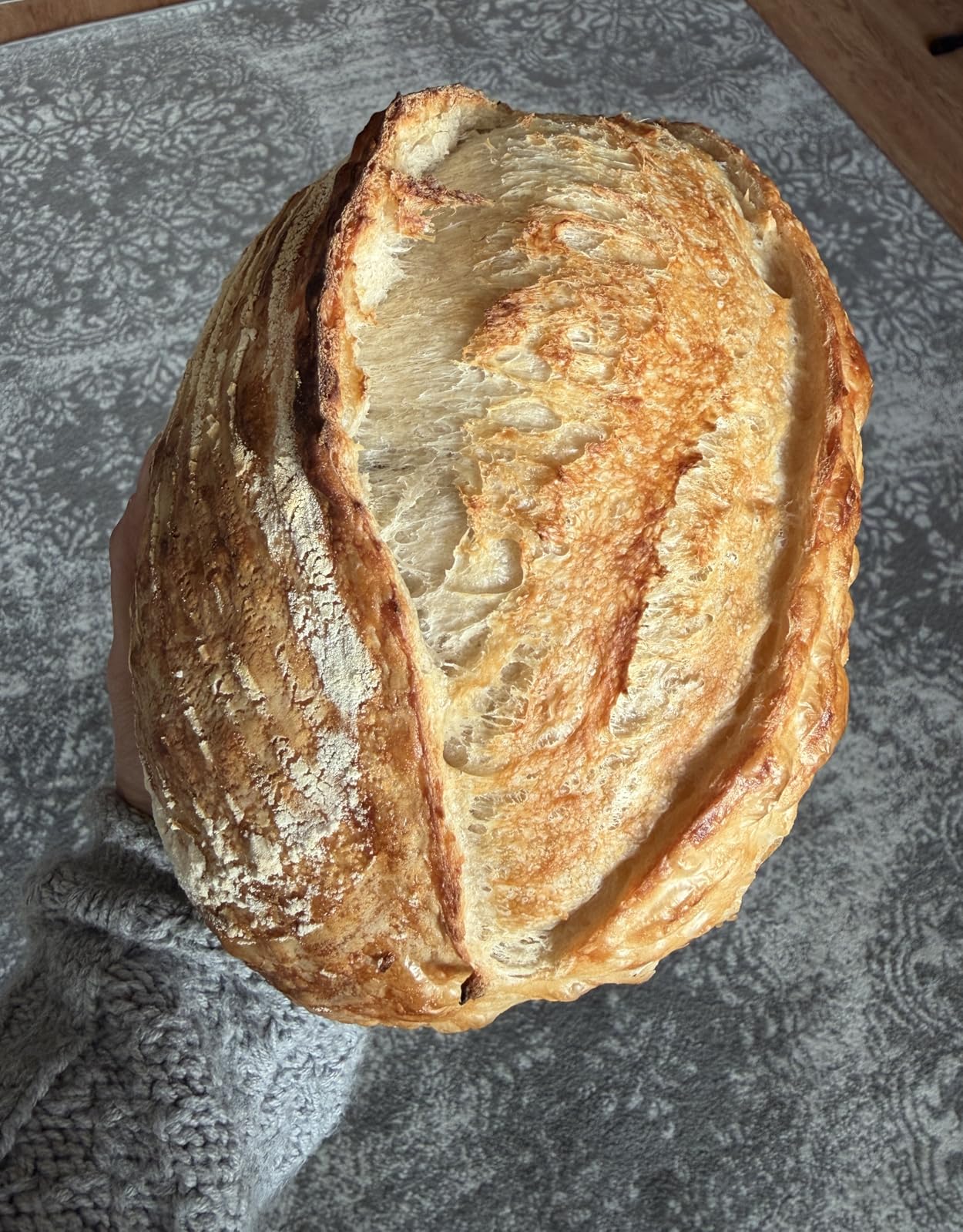 Brod & Taylor Ultralight Baking Shell for Sourdough Bread (Batard) - No Preheating Needed for Crispy Crust and Even Baking customer photo 1
